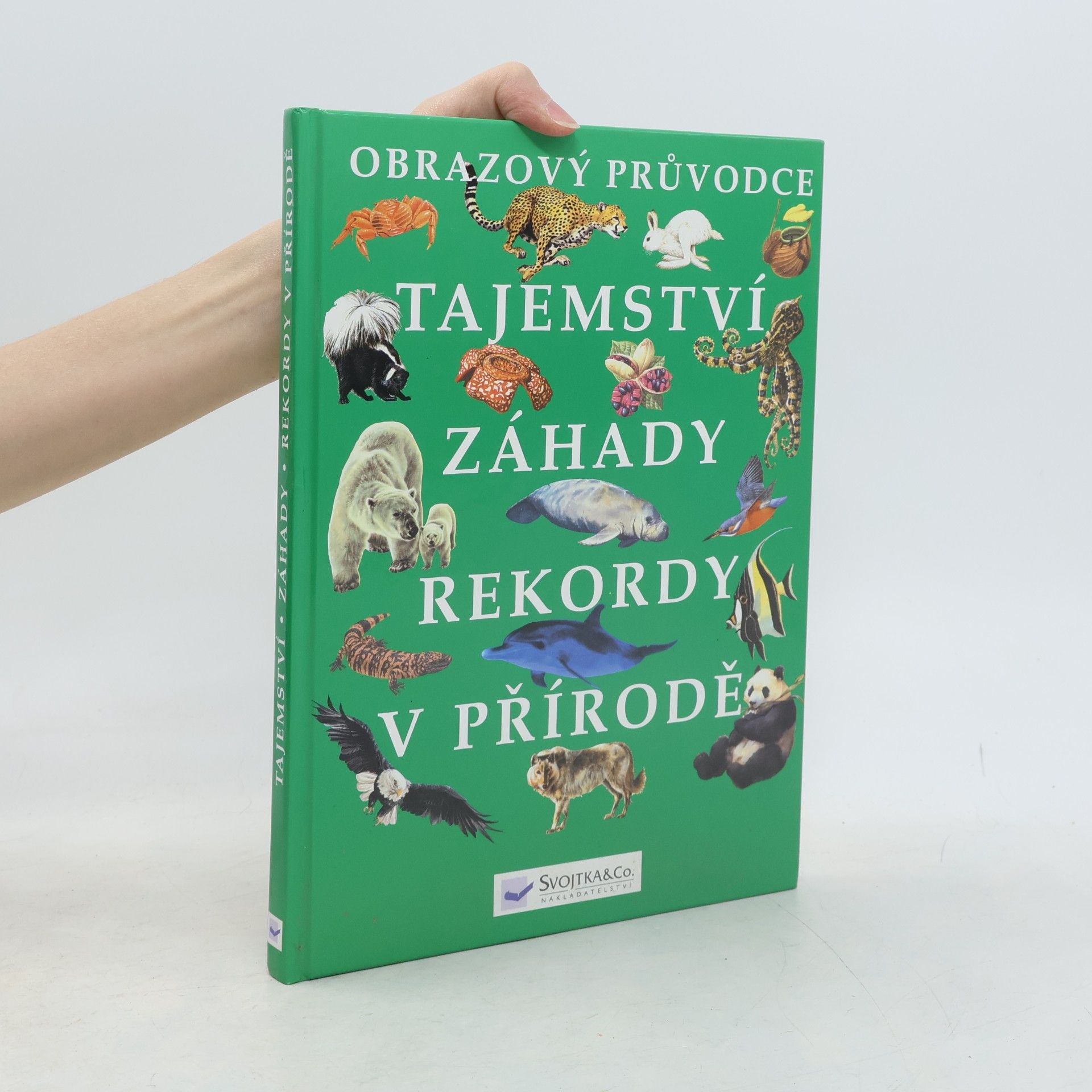 Autorenkollektiv Tajemství, záhady, rekordy v přírodě