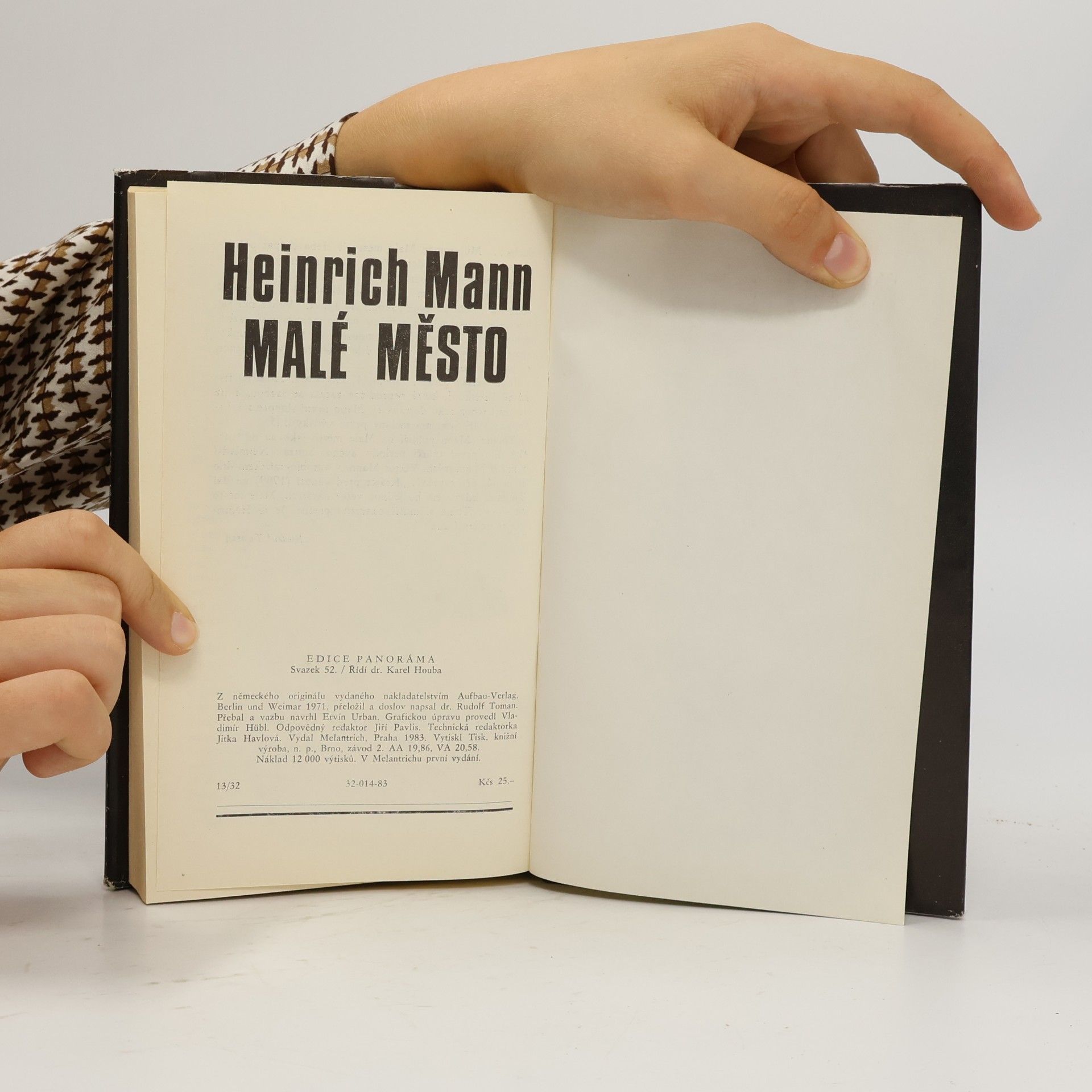 Heinrich Mann Malé město