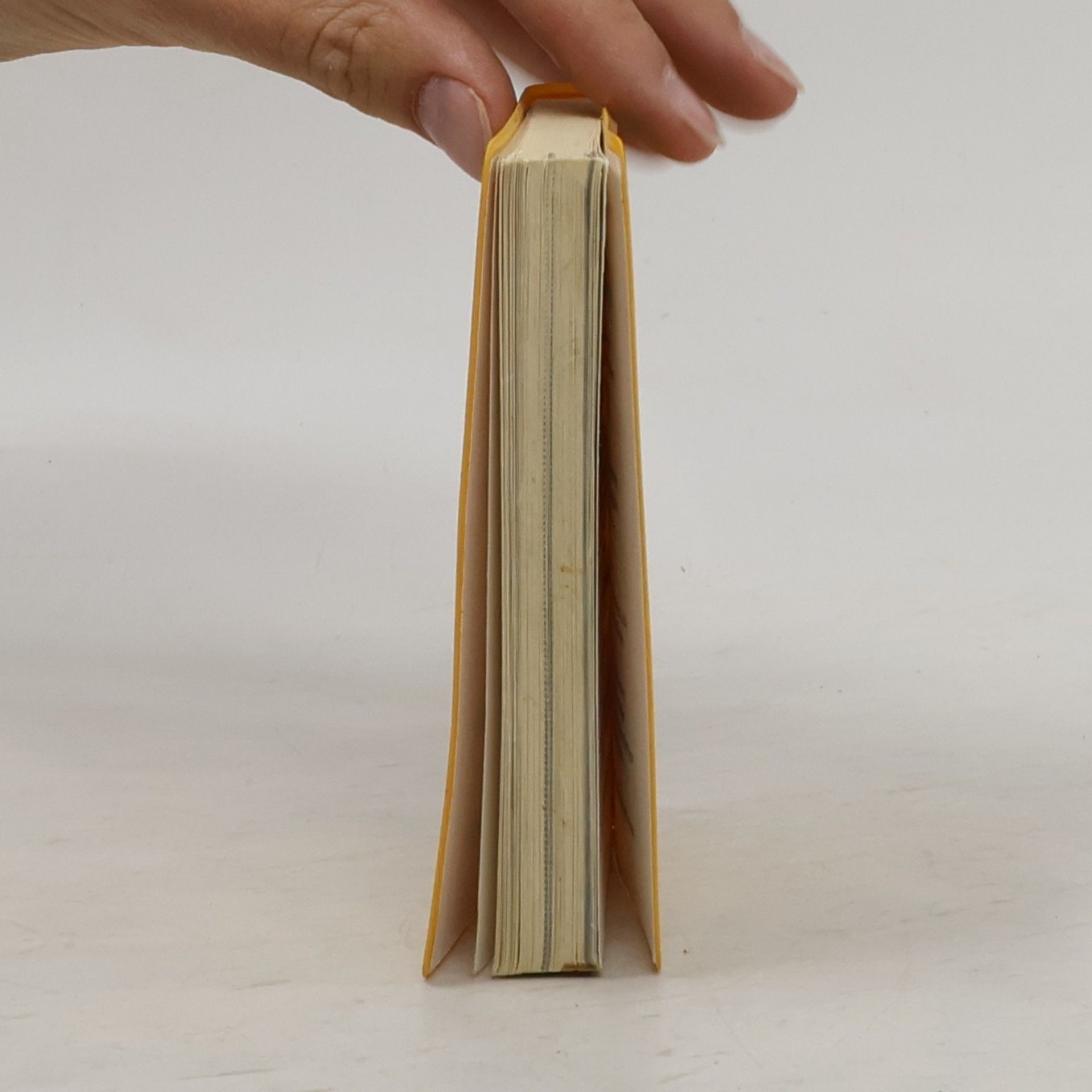 Kolektív autorov Langenscheidt Universal-Wörterbuch Spanisch