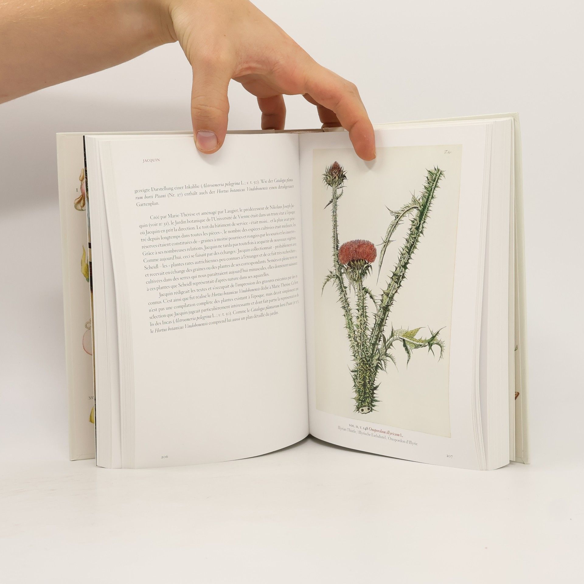 Hans Walter Lack A Garden Eden. Masterpieces of Botanical Illustrationn