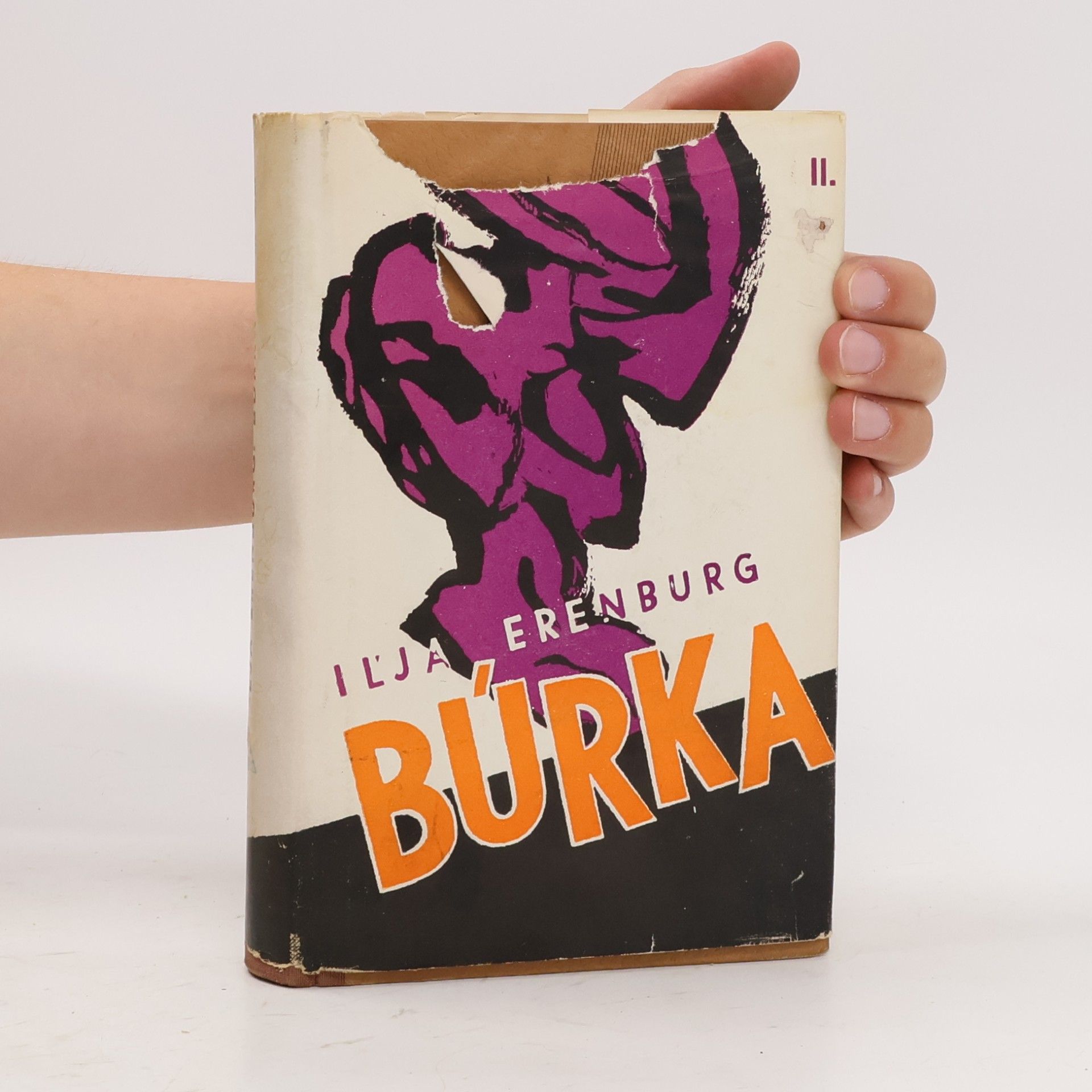 Ilja Grigorjevič Ehrenburg Búrka II