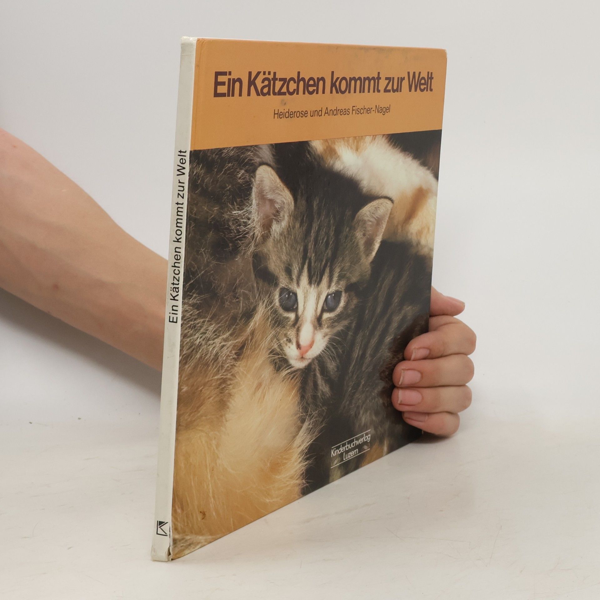 Ein Kätzchen kommt zur Welt