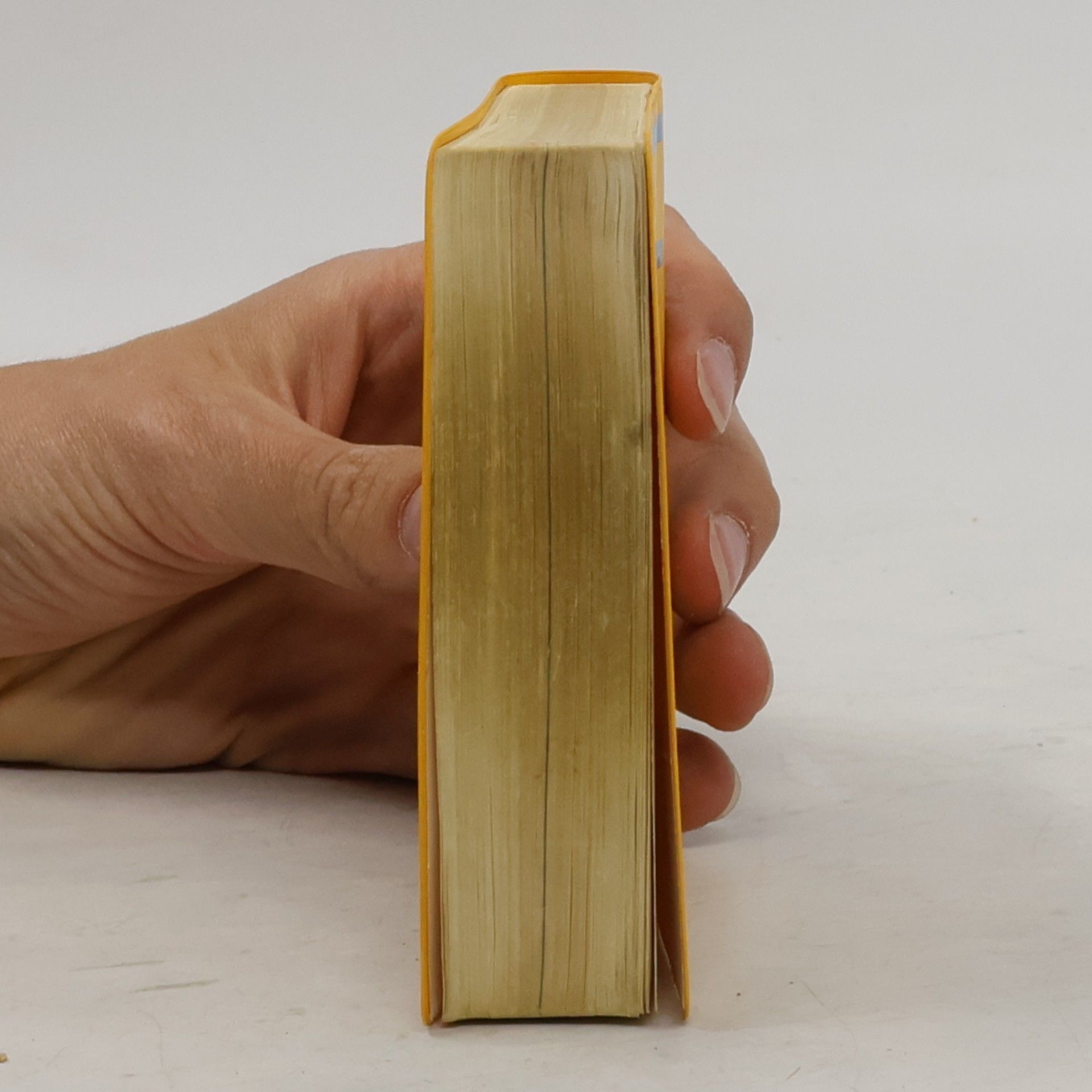 Kolektiv autorů Langenscheidt Universal-Wörterbuch Spanisch