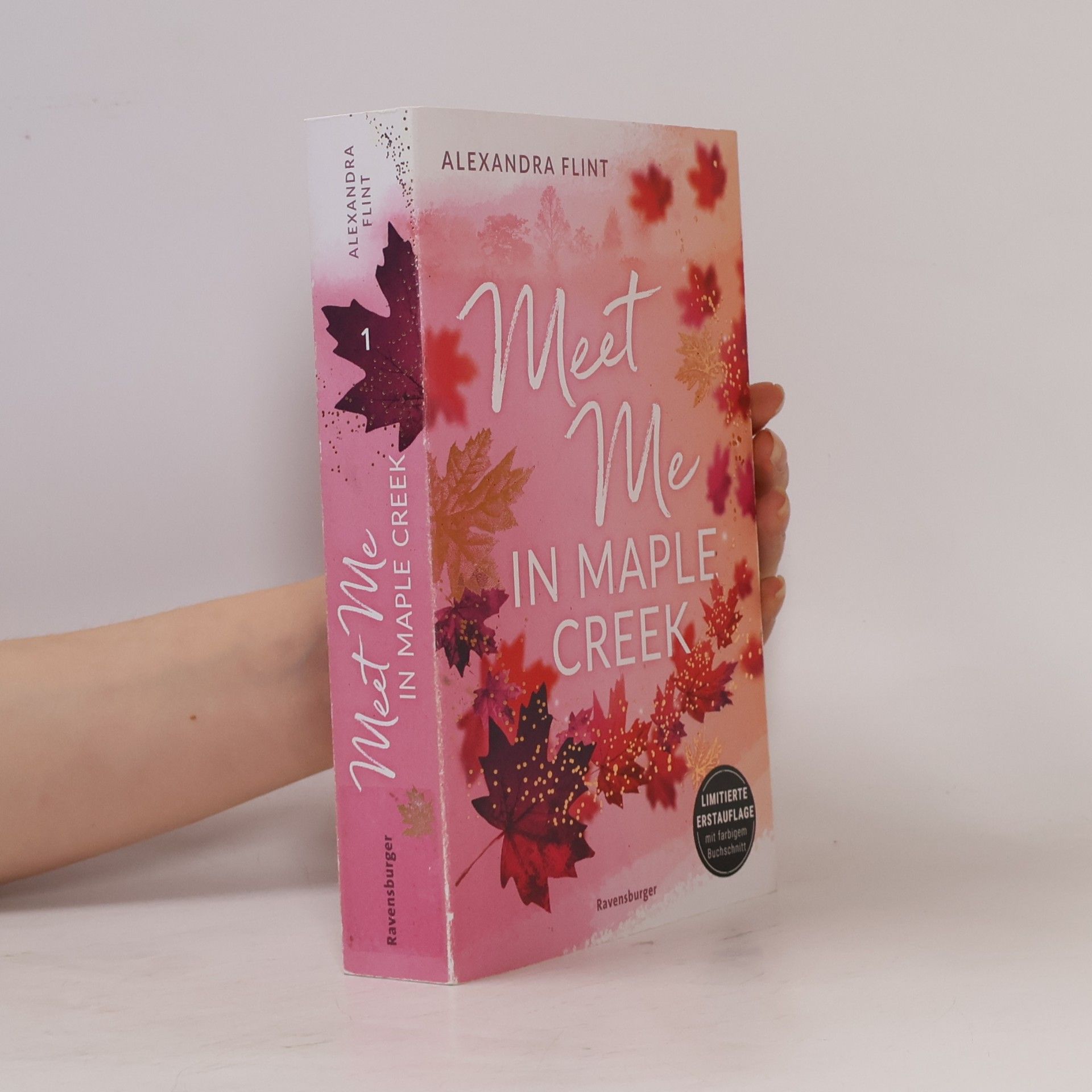 Alexandra Flint Meet me in Maple Creek