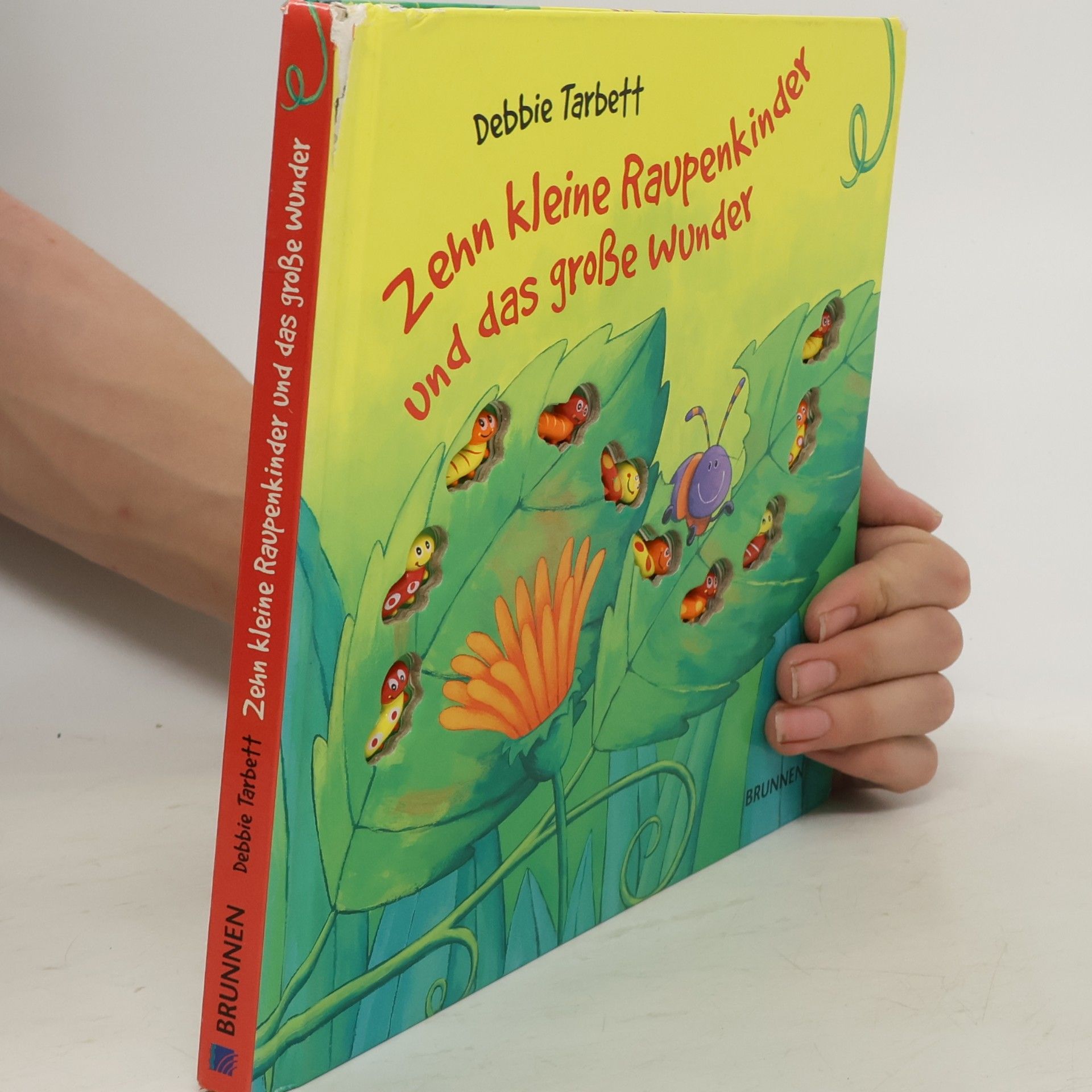 Debbie Tarbett Zehn kleine Raupenkinder und das große Wunder