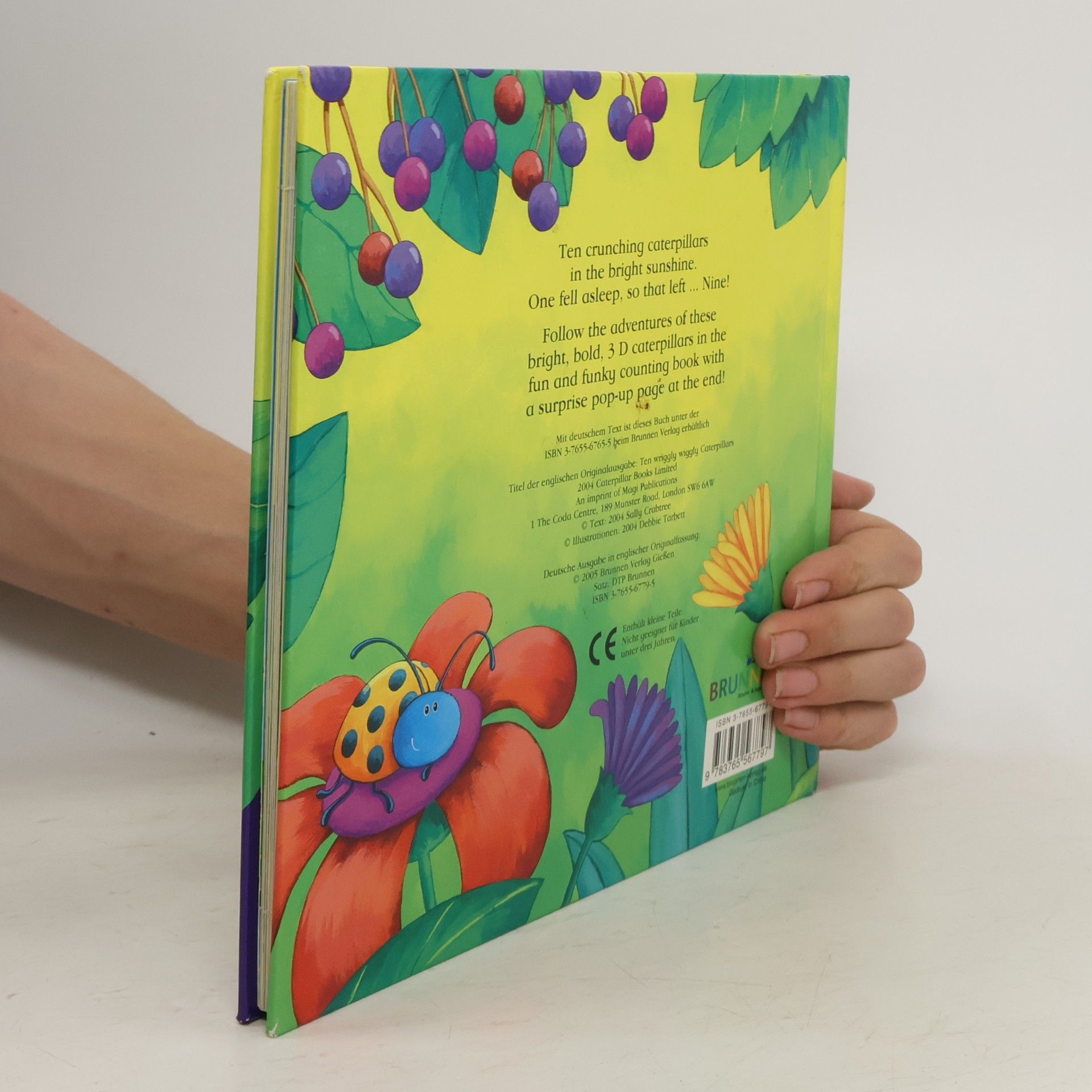 Debbie Tarbett Zehn kleine Raupenkinder und das große Wunder Englische Ausgabe