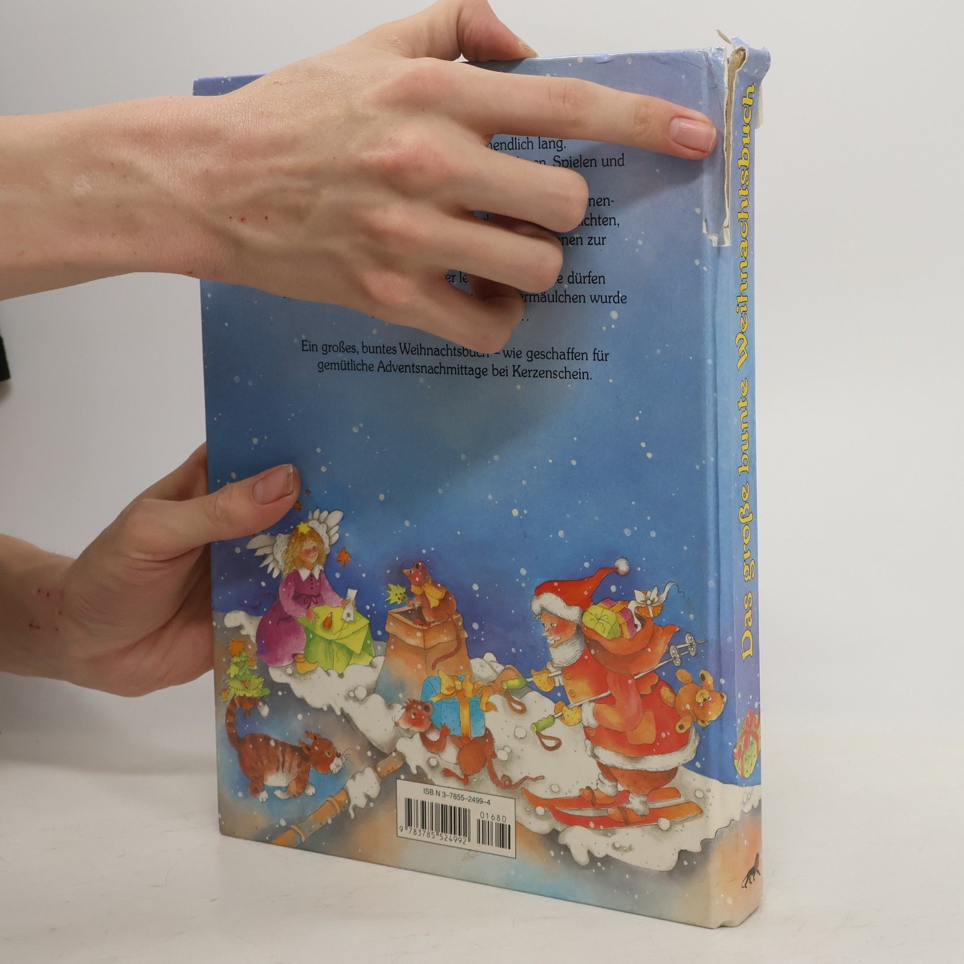 Karin Jäckel Das große bunte Weihnachtsbuch