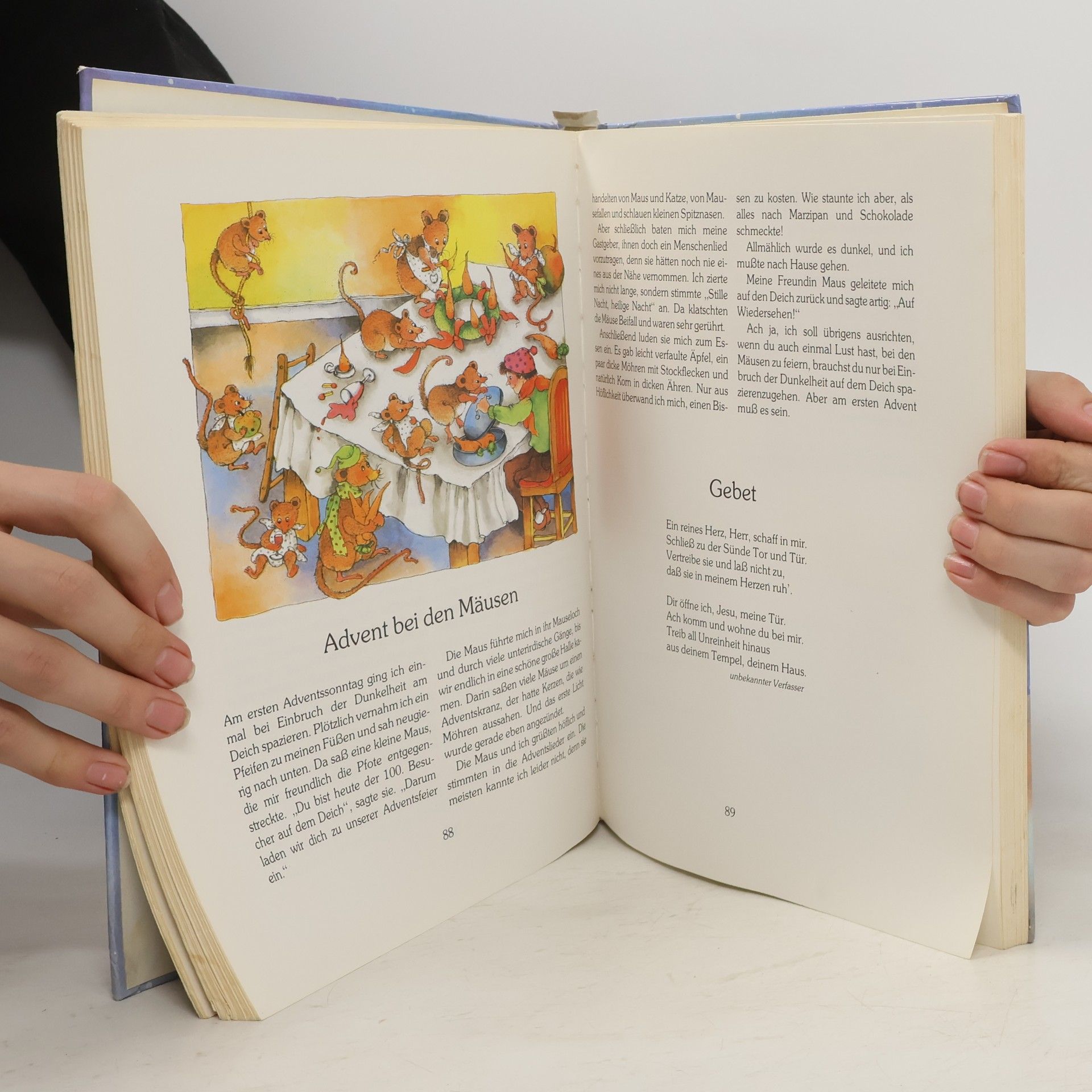 Karin Jäckel Das große bunte Weihnachtsbuch
