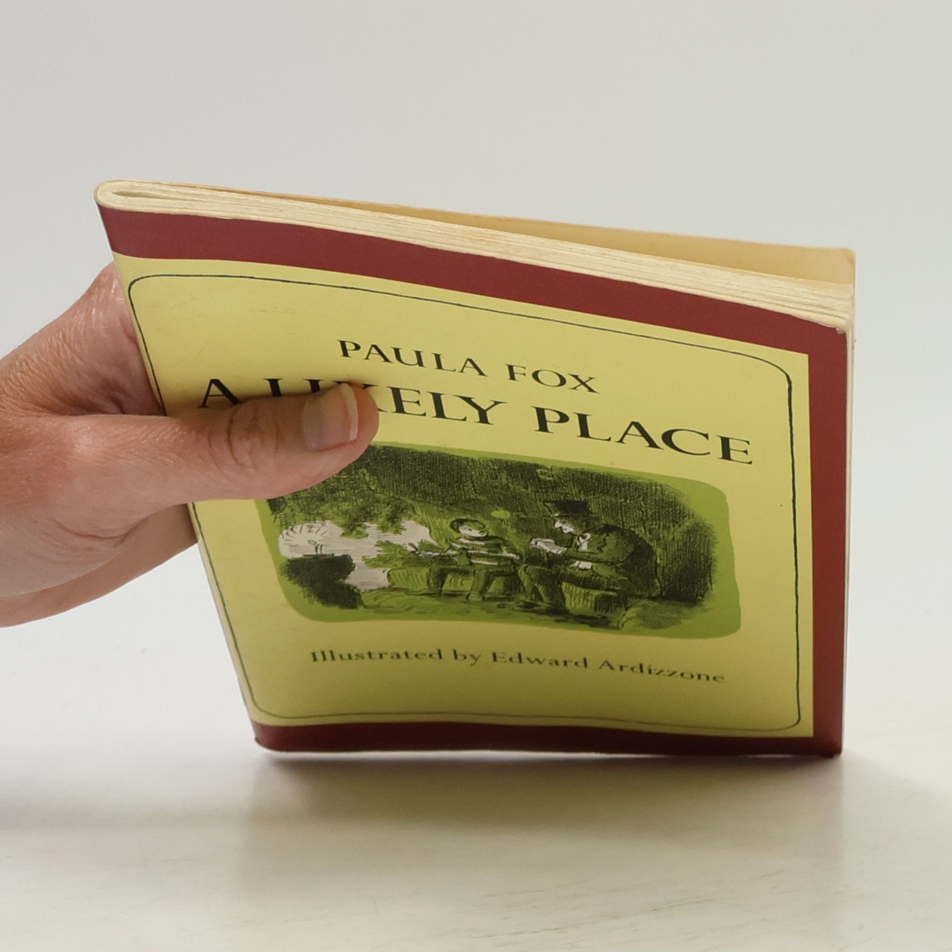 Paula Fox A Likely Place