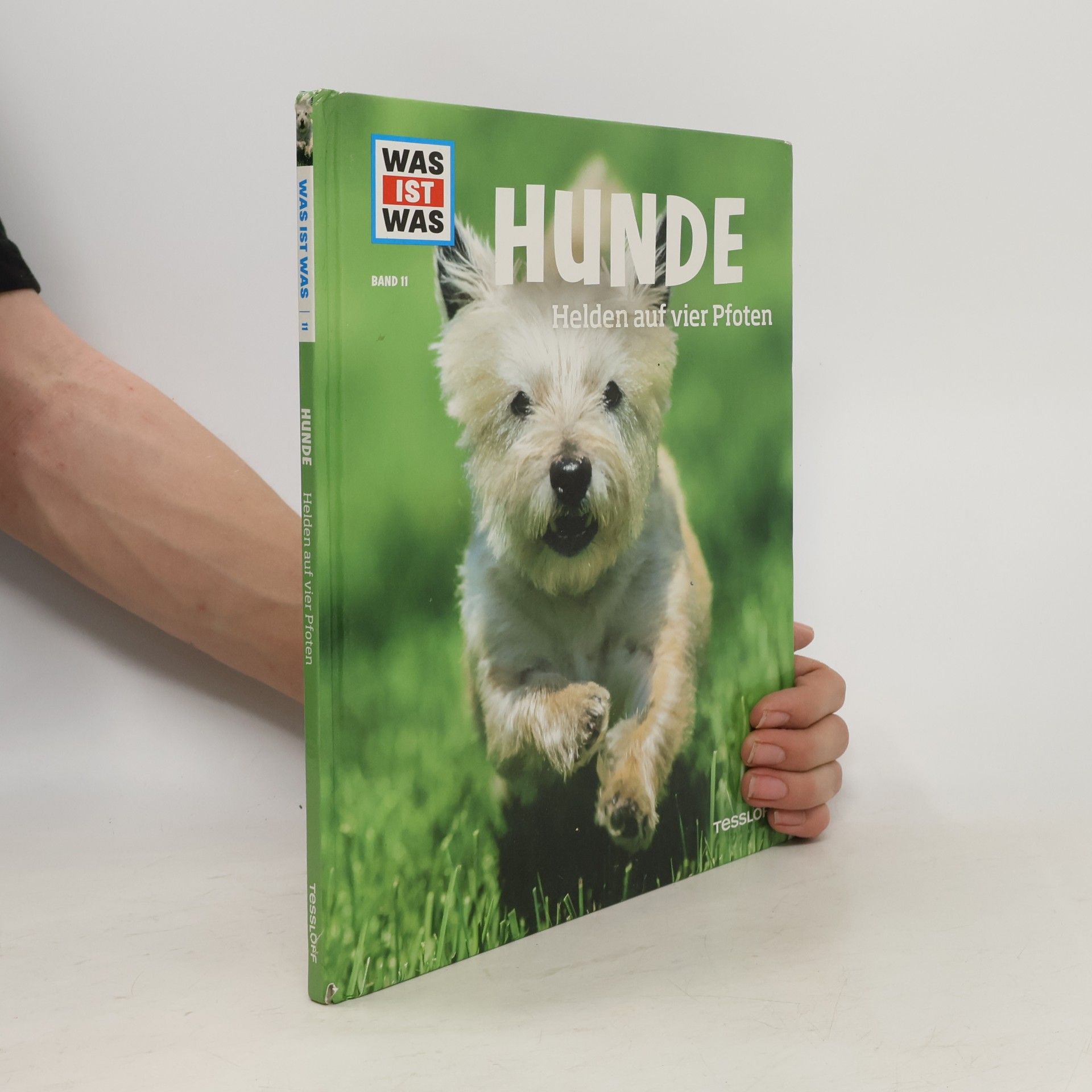 Collectif d'auteurs Hunde. Helden auf vier Pfoten