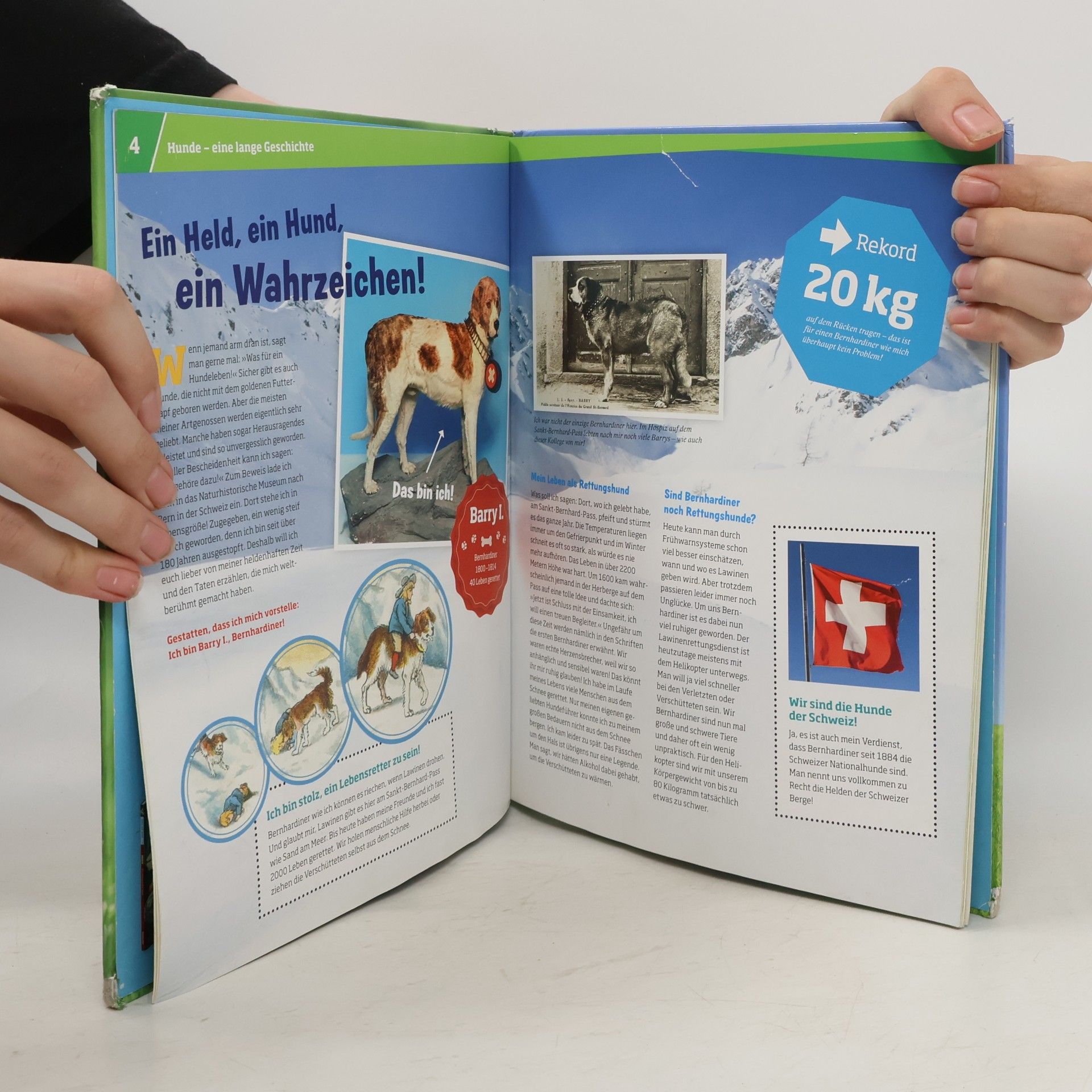 Collectif d'auteurs Hunde. Helden auf vier Pfoten