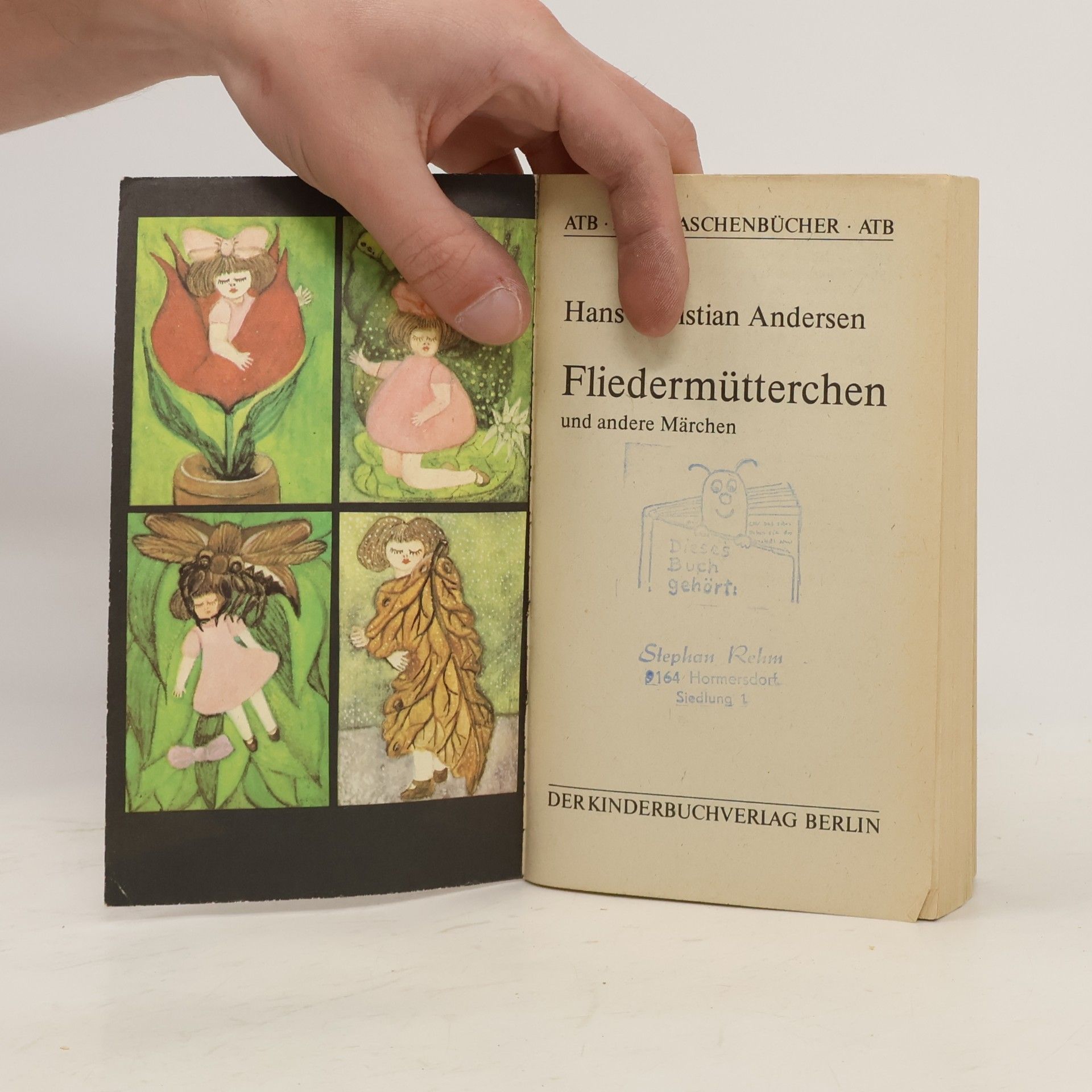 Hans Christian Andersen Fliedermütterchen und andere Märchen