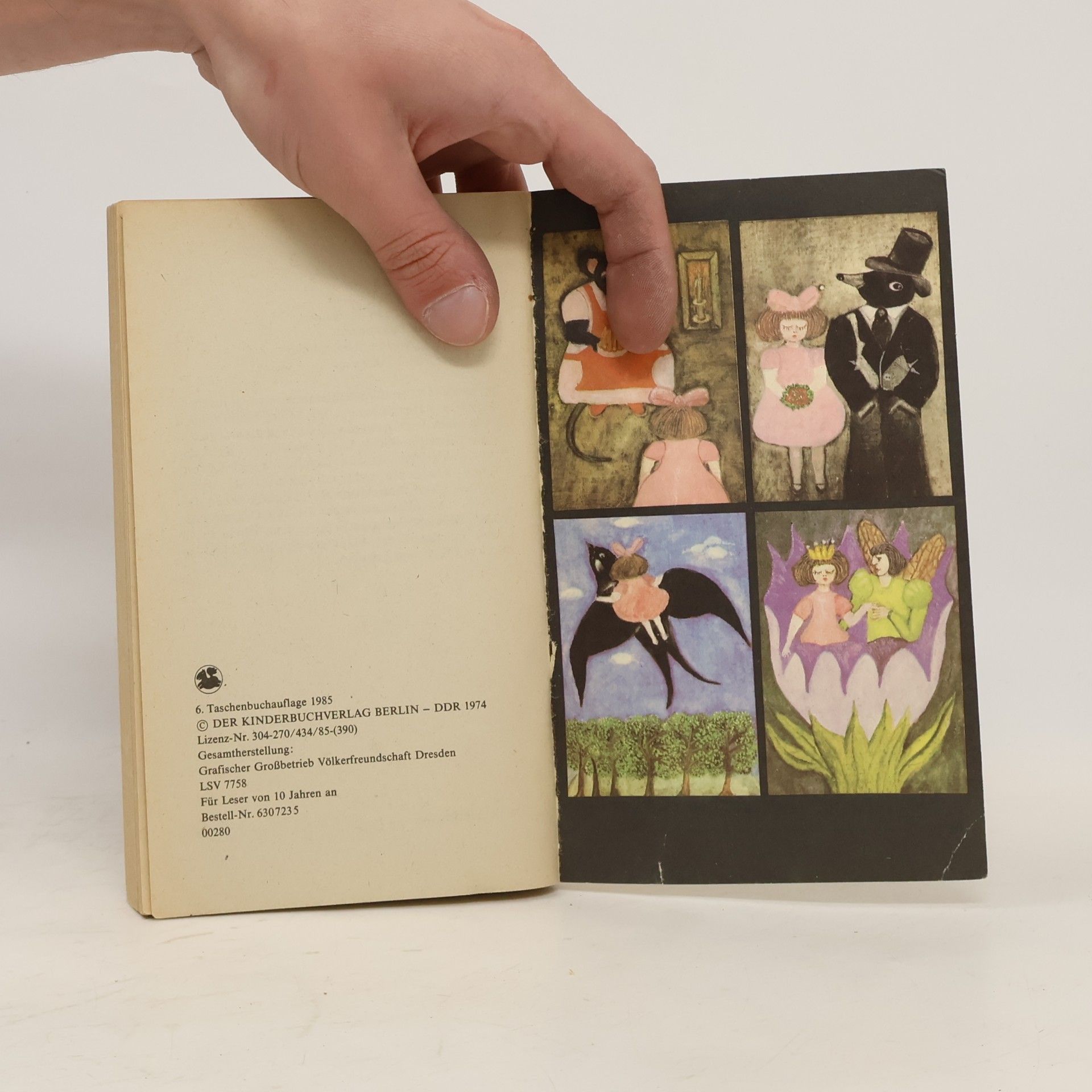 Hans Christian Andersen Fliedermütterchen und andere Märchen
