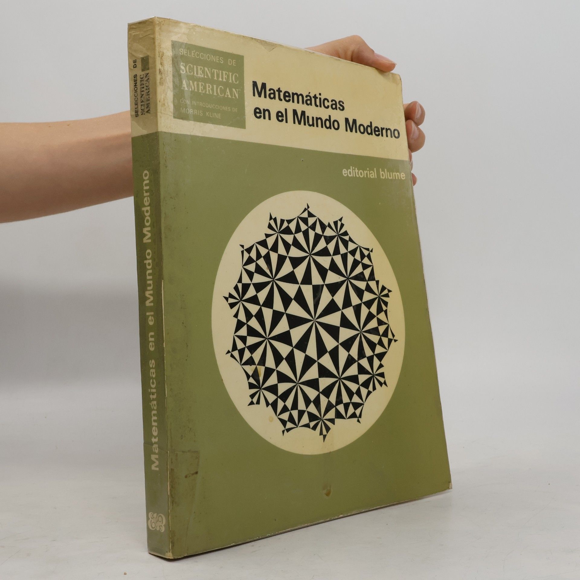 Kolektiv autorů Matematicas en el Mundo Moderno