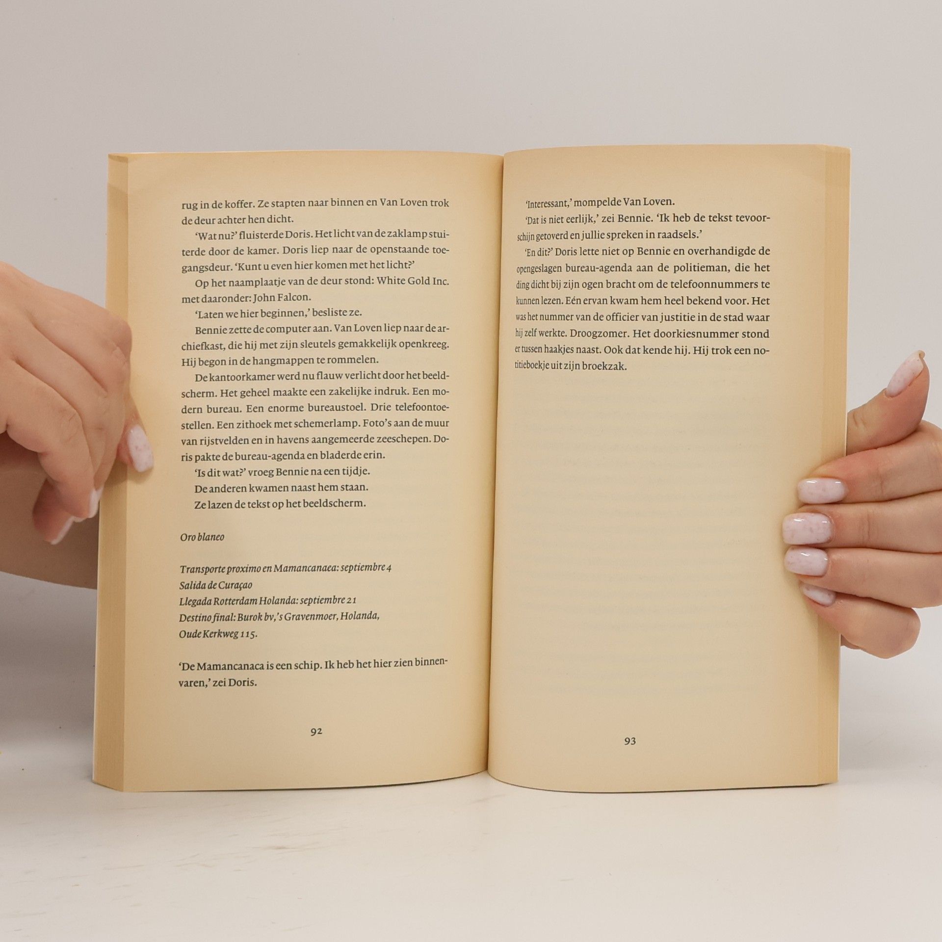 Johannes Josephus Maria Diepstraten Lijsters: Dood door schuld?