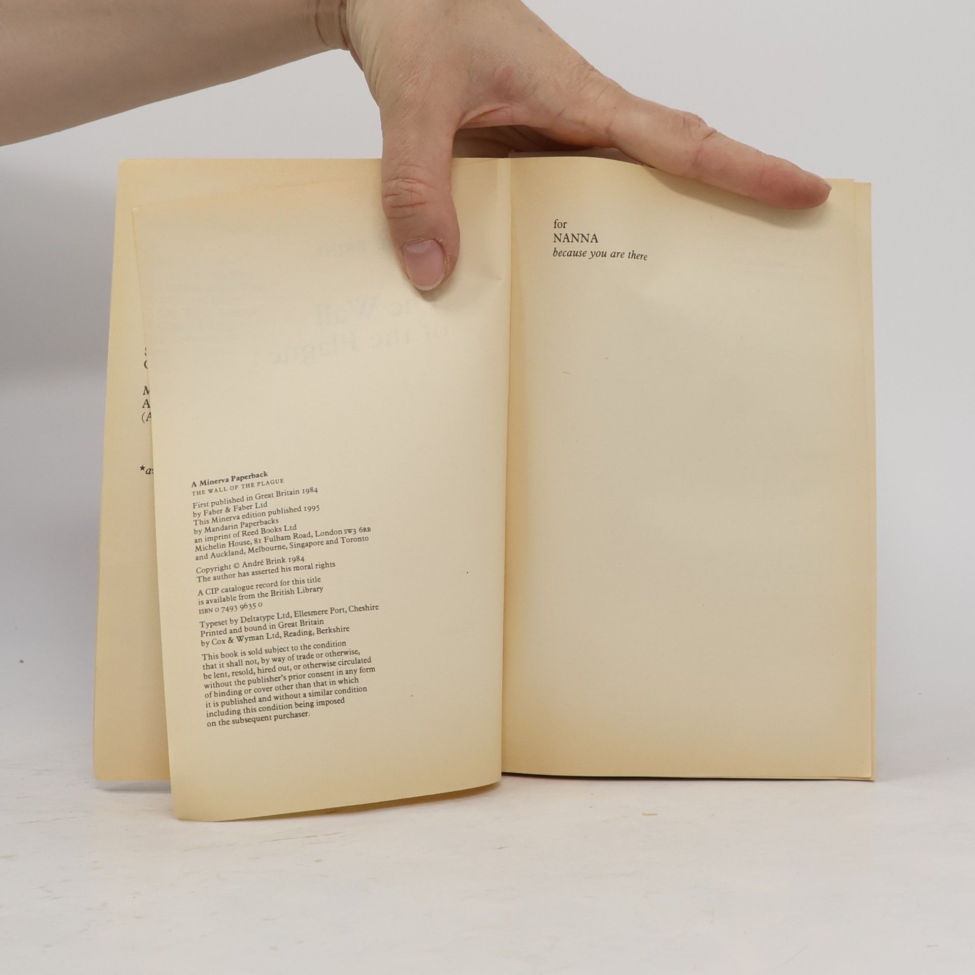 André Brink The Wall of the Plague
