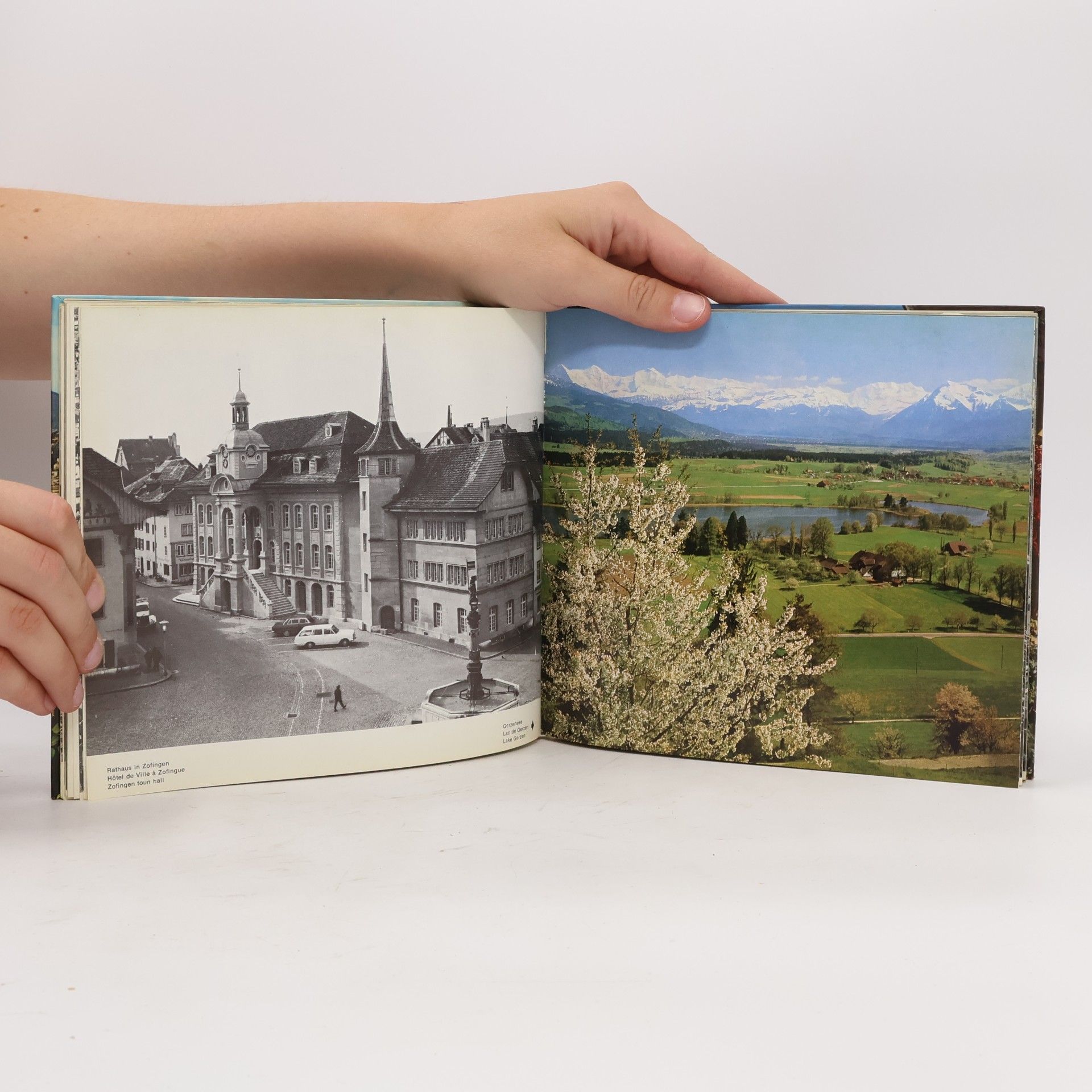 Auteurscollectief Schweiz. Suisse. Switzerland