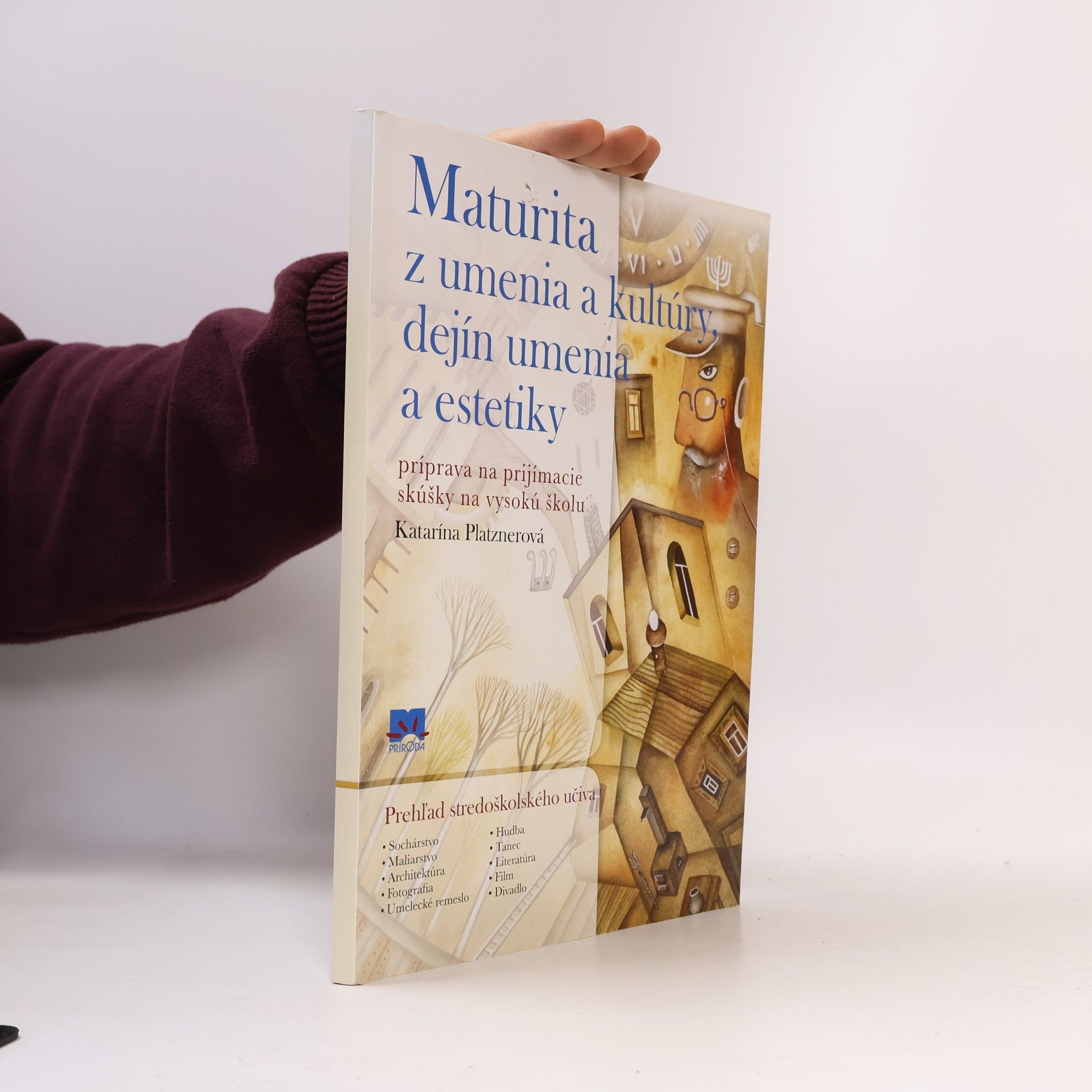 Maturita z umenia a kultúry, dejín umenia a estetiky