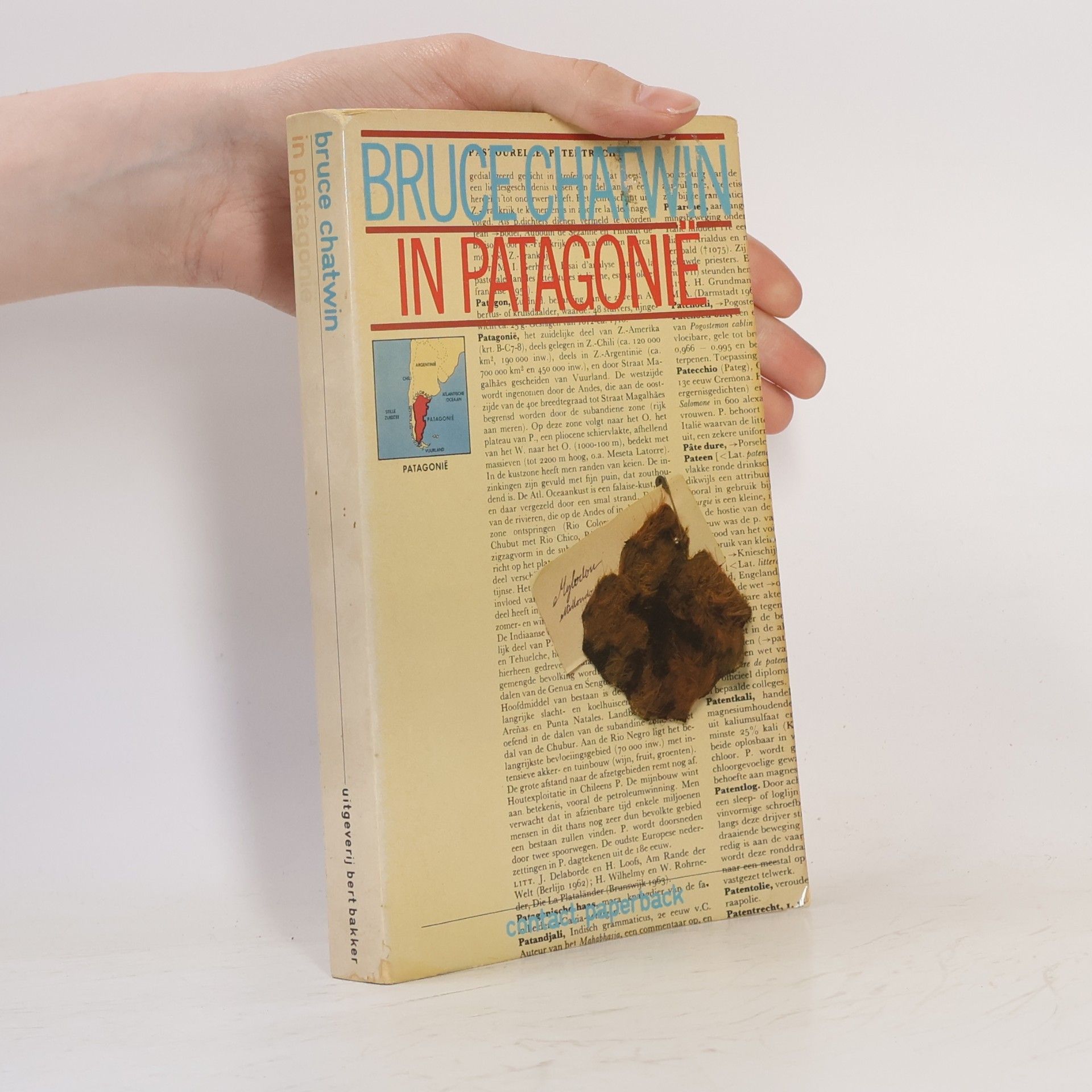 Bruce Chatwin In Patagonië