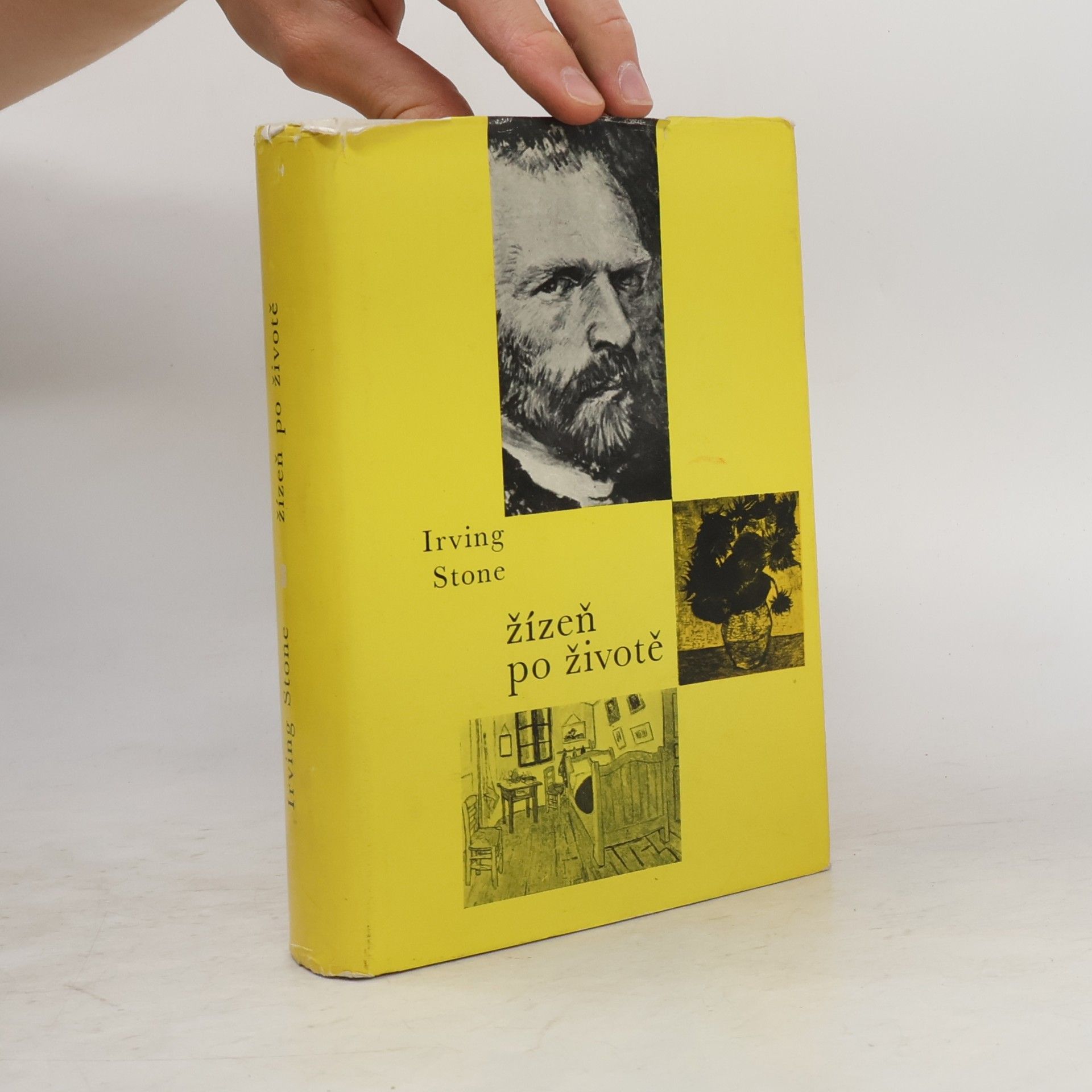 Irving Stone Žízeň po životě