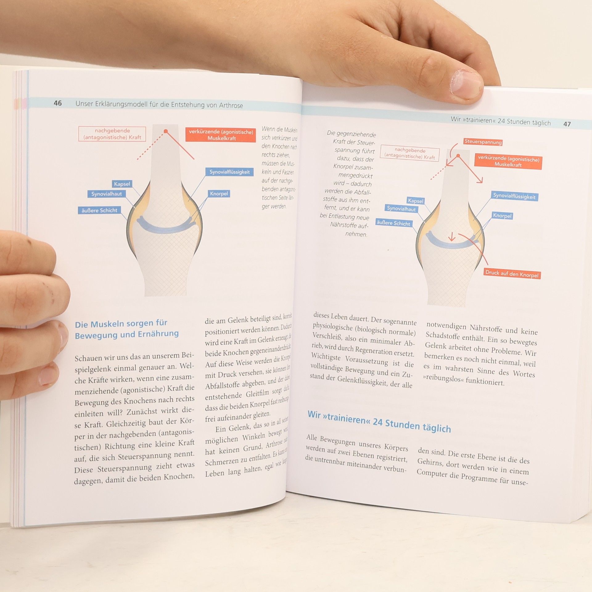 Petra Bracht Die Arthrose-Lüge - Neuausgabe