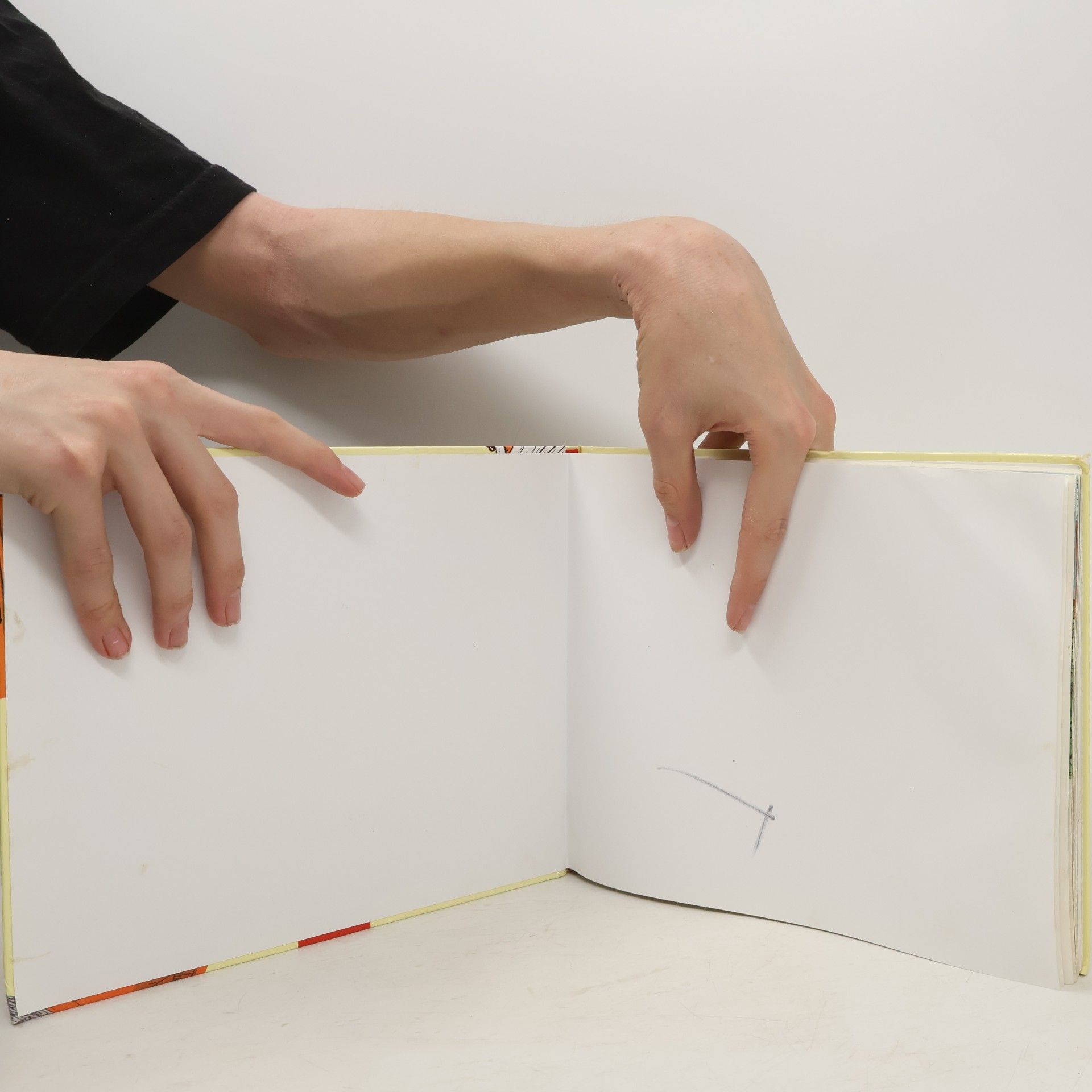 Astrid Lindgren Das große Bilderbuch von Michel aus Lönneberga