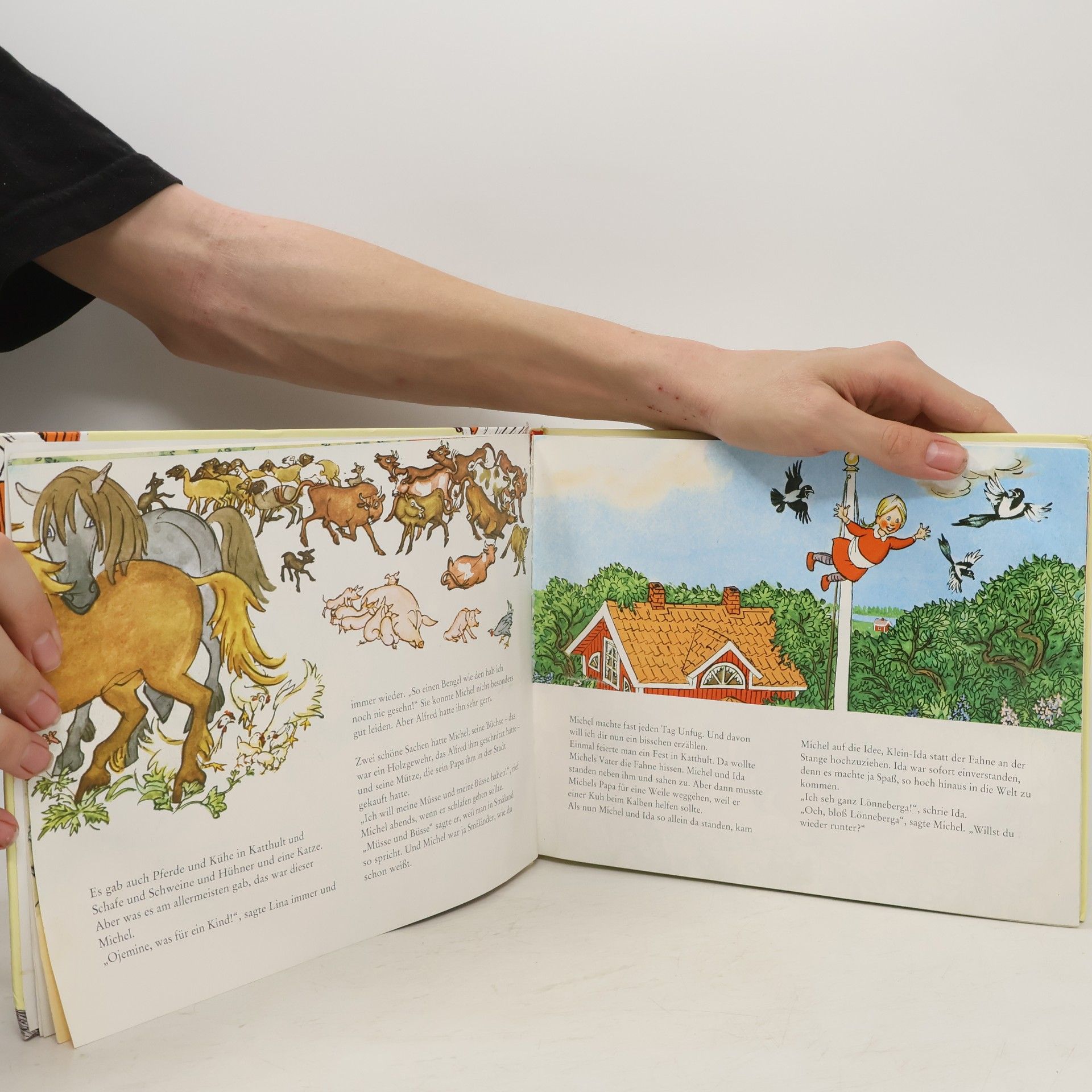 Astrid Lindgren Das große Bilderbuch von Michel aus Lönneberga