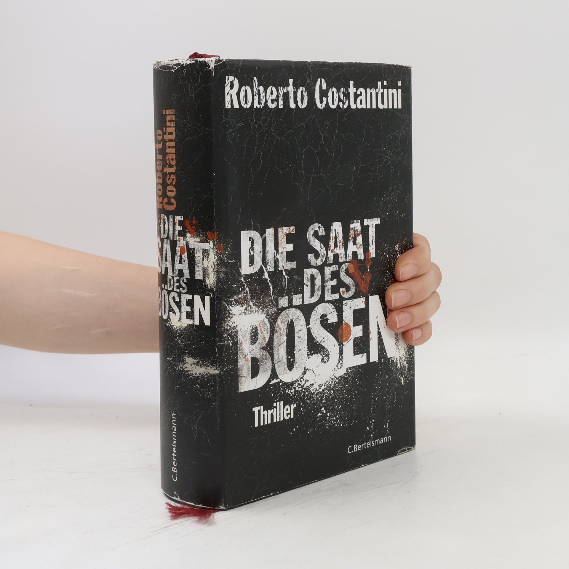 Roberto Costantini Die Saat des Bösen