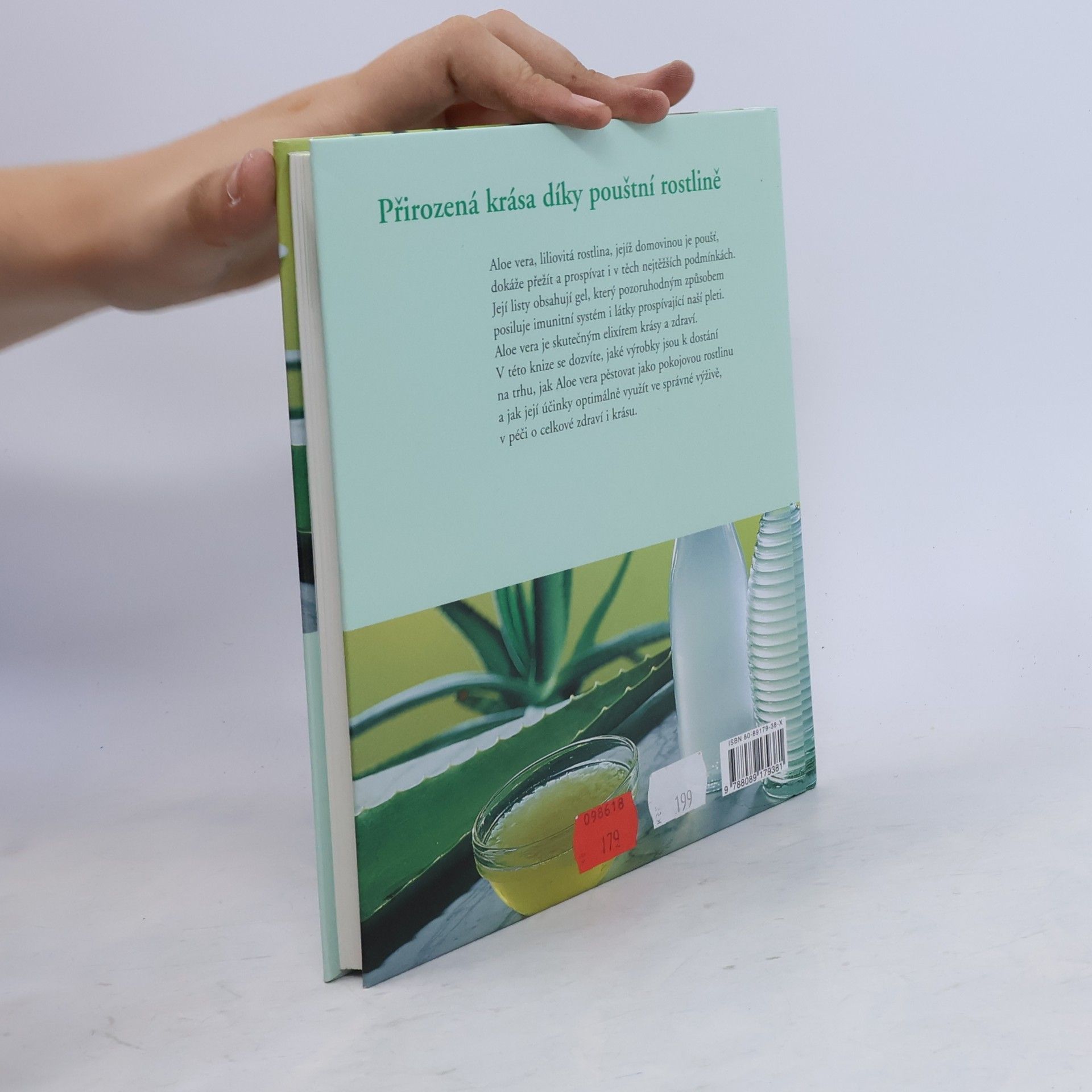 Ulla Rahnová Huberová Přírodní léčba a péče s Aloe vera