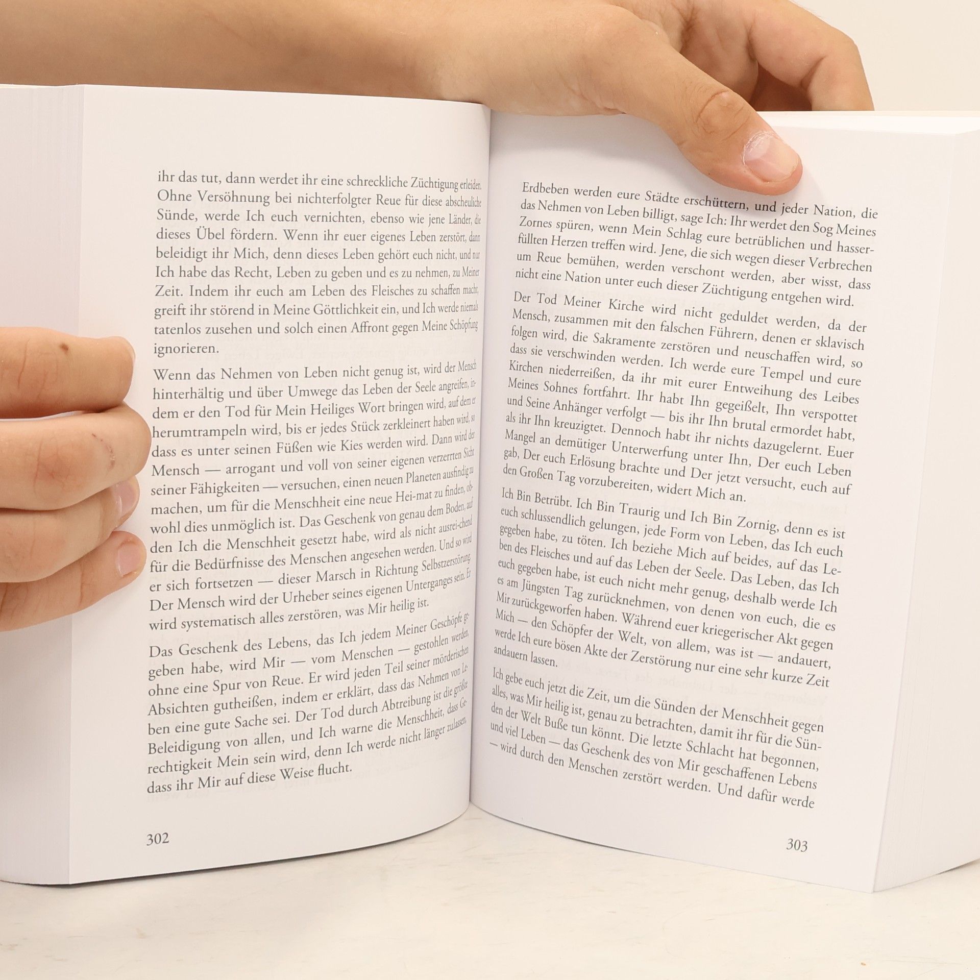 Maria Divine Mercy Das Buch der Wahrheit 4