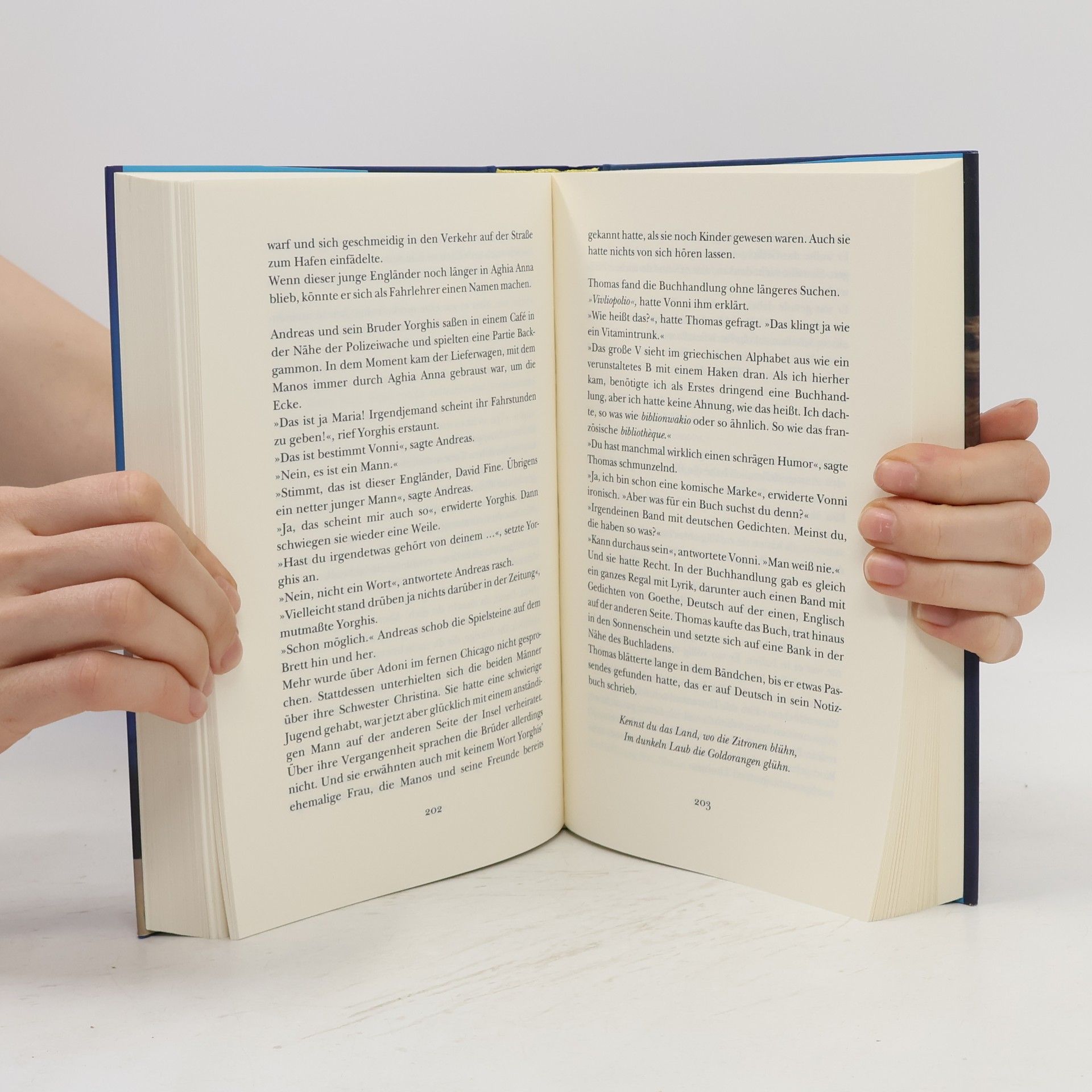 Maeve Binchy Insel der Sterne