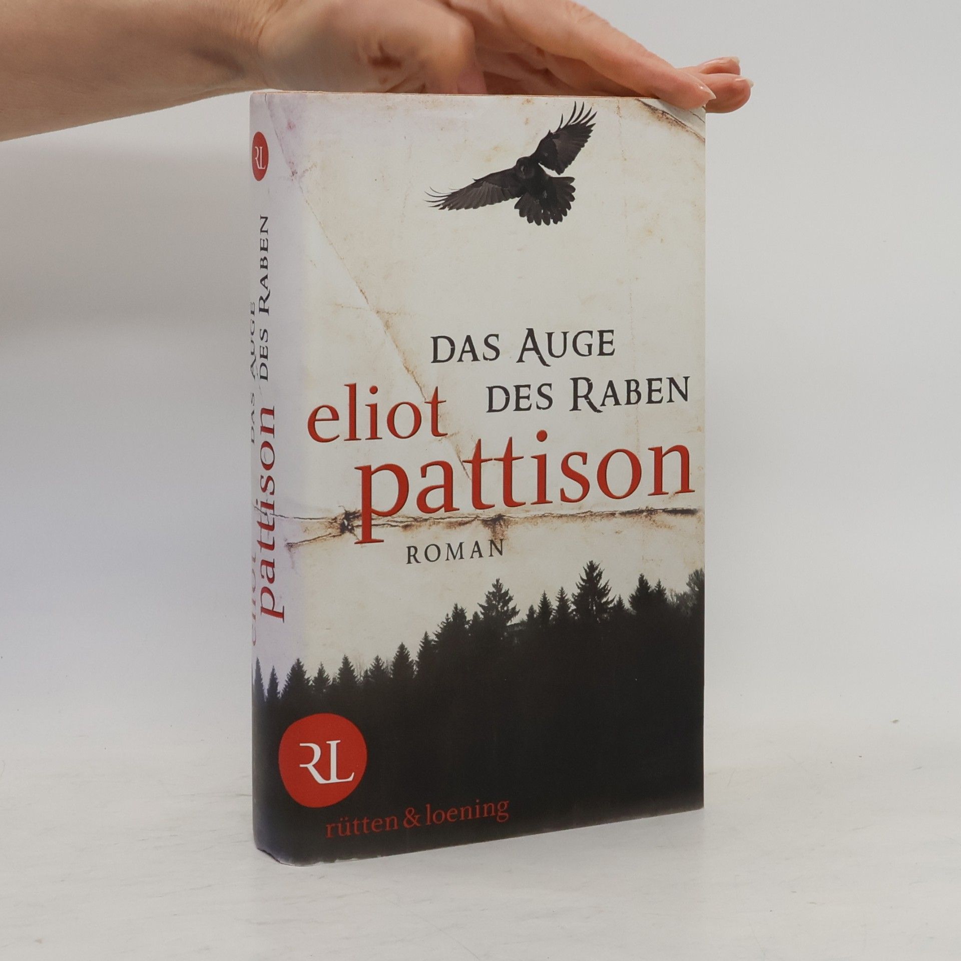 Eliot Pattison Das Auge des Raben