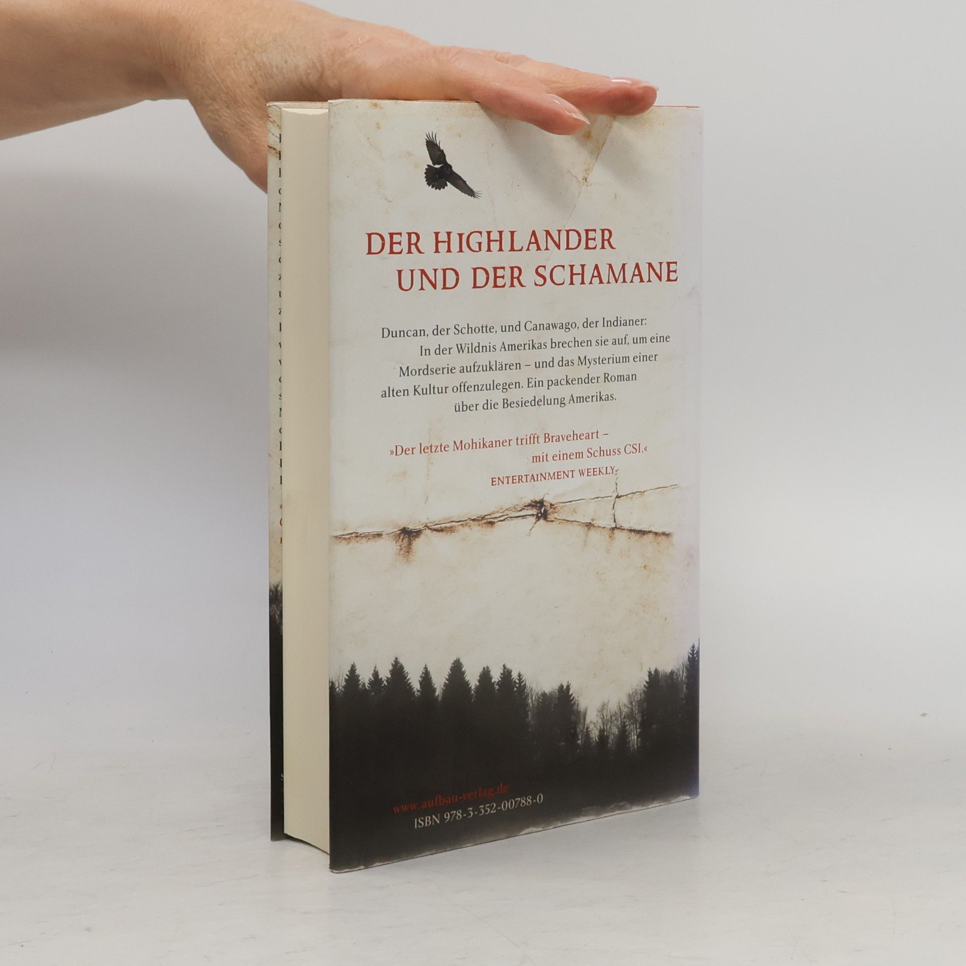 Eliot Pattison Das Auge des Raben