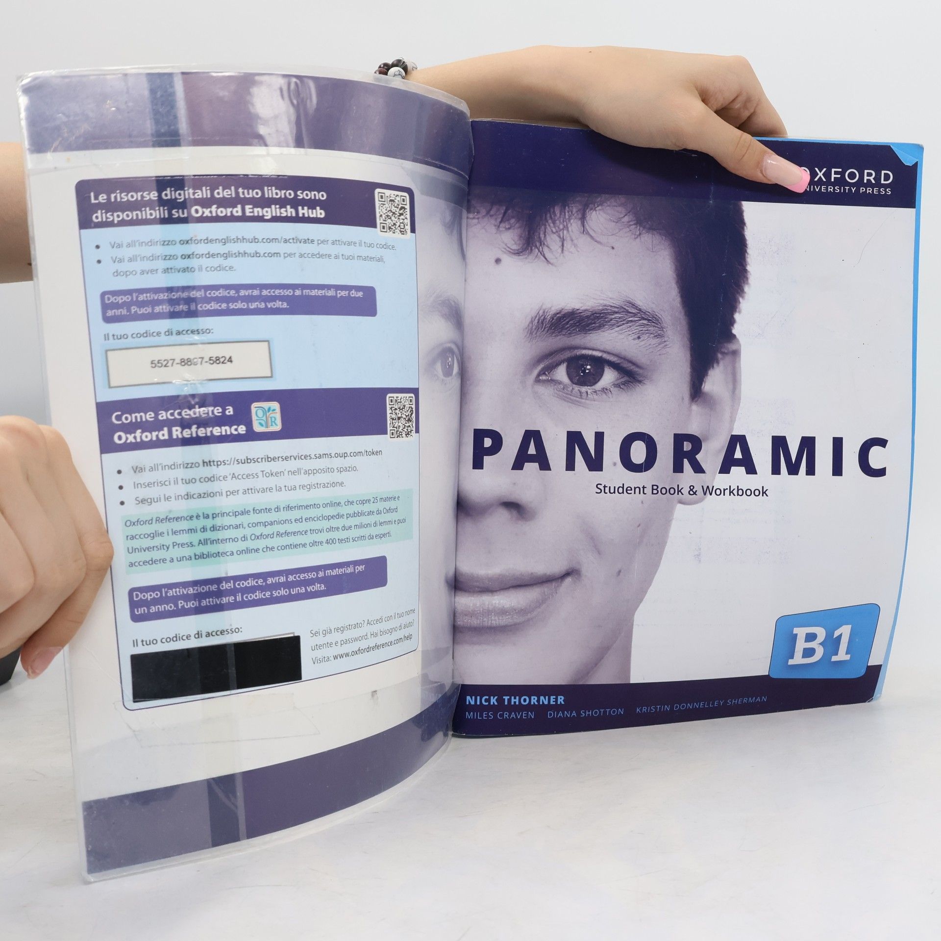 Autorenkollektiv Panoramic. B1. With Student's Book. Workbook
