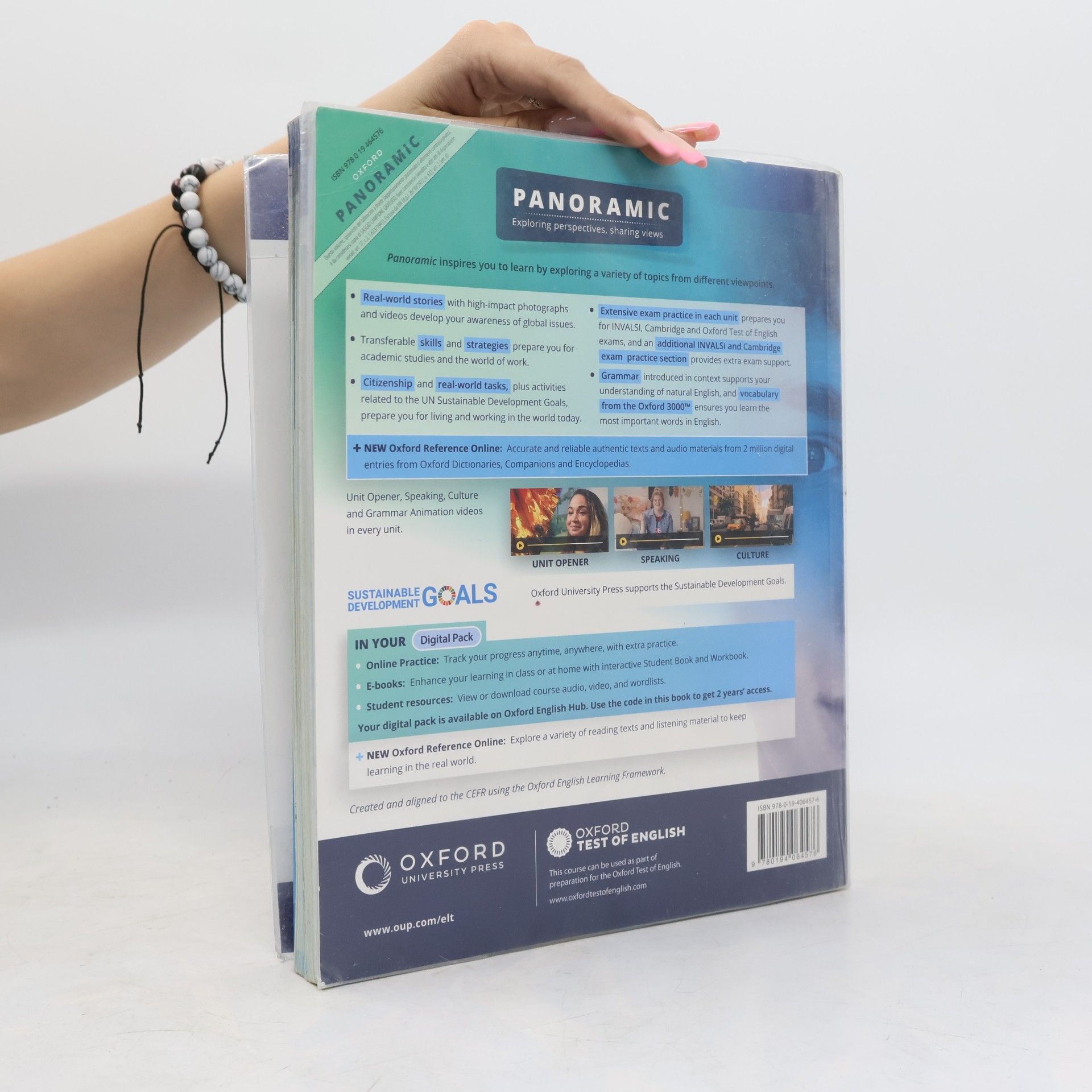 Autorenkollektiv Panoramic. B1. With Student's Book. Workbook