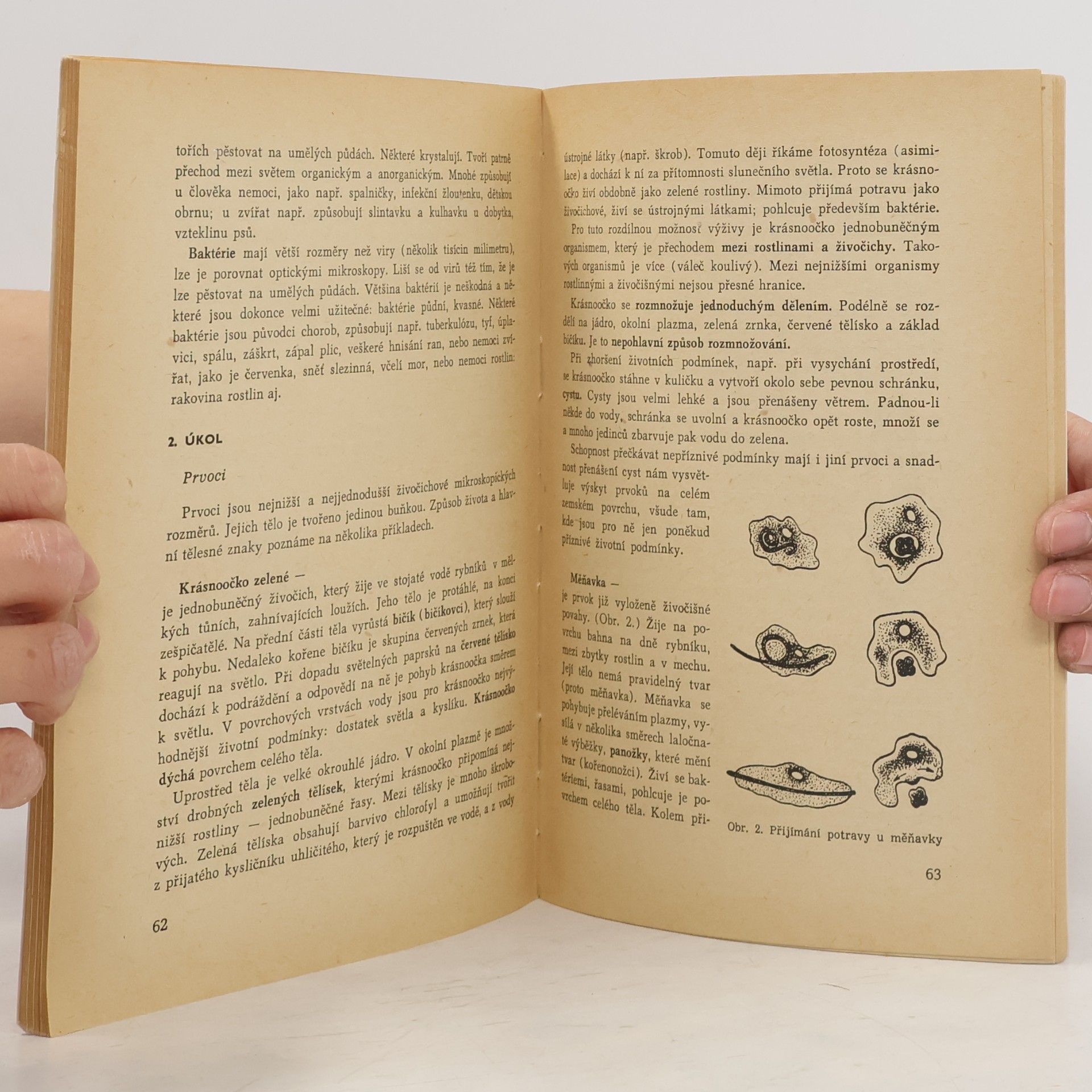 Vojtěch Hainer Biologie. Botanika. Zoologie