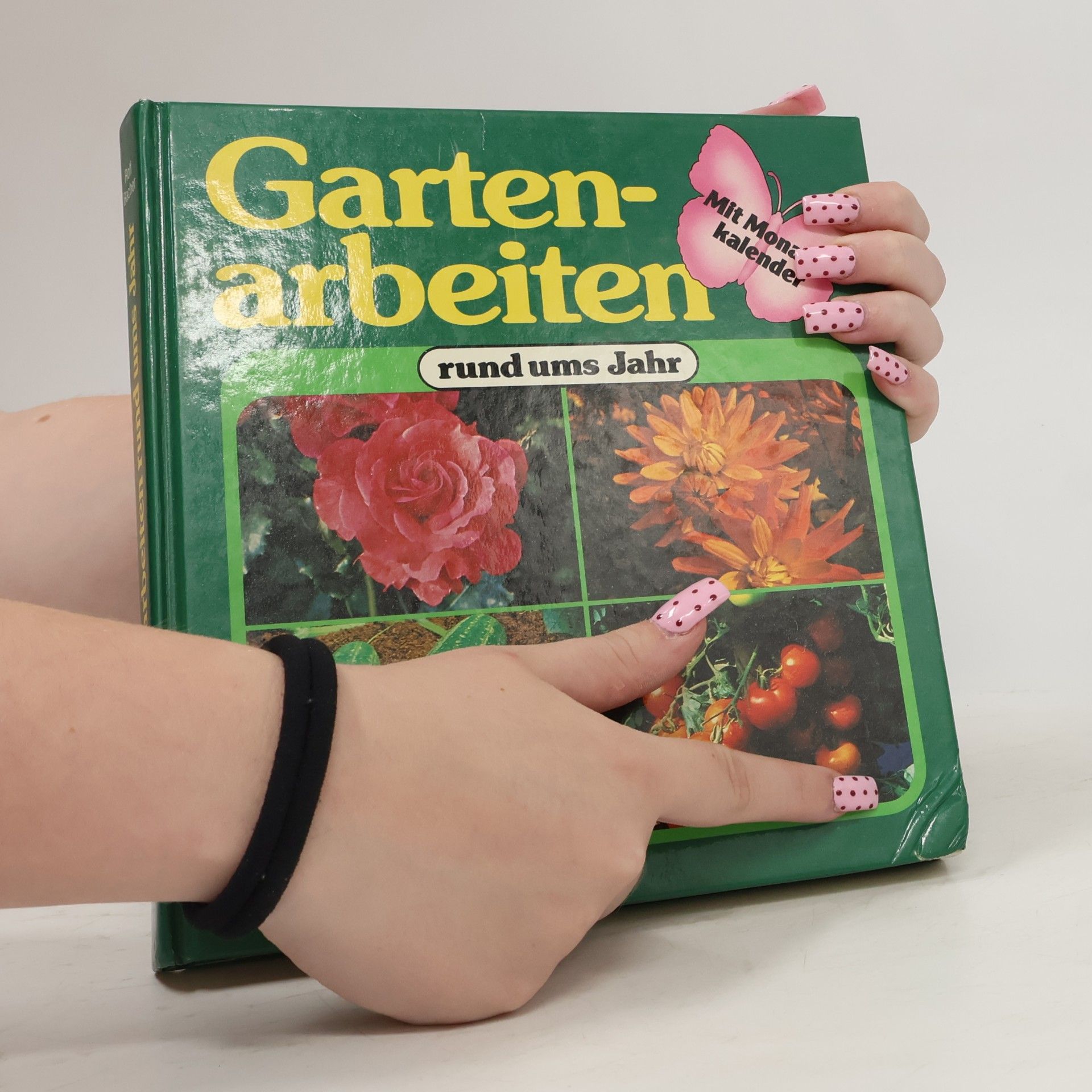 Rolf Bacher Gartenarbeiten