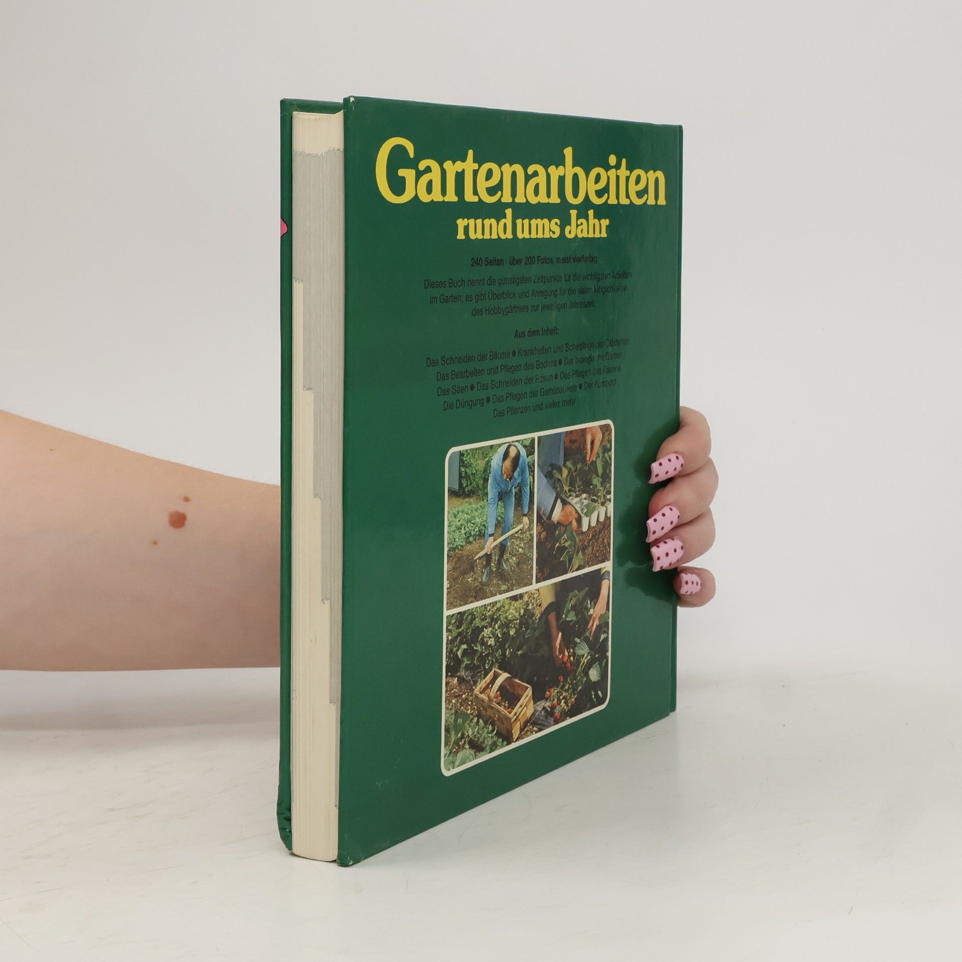 Rolf Bacher Gartenarbeiten