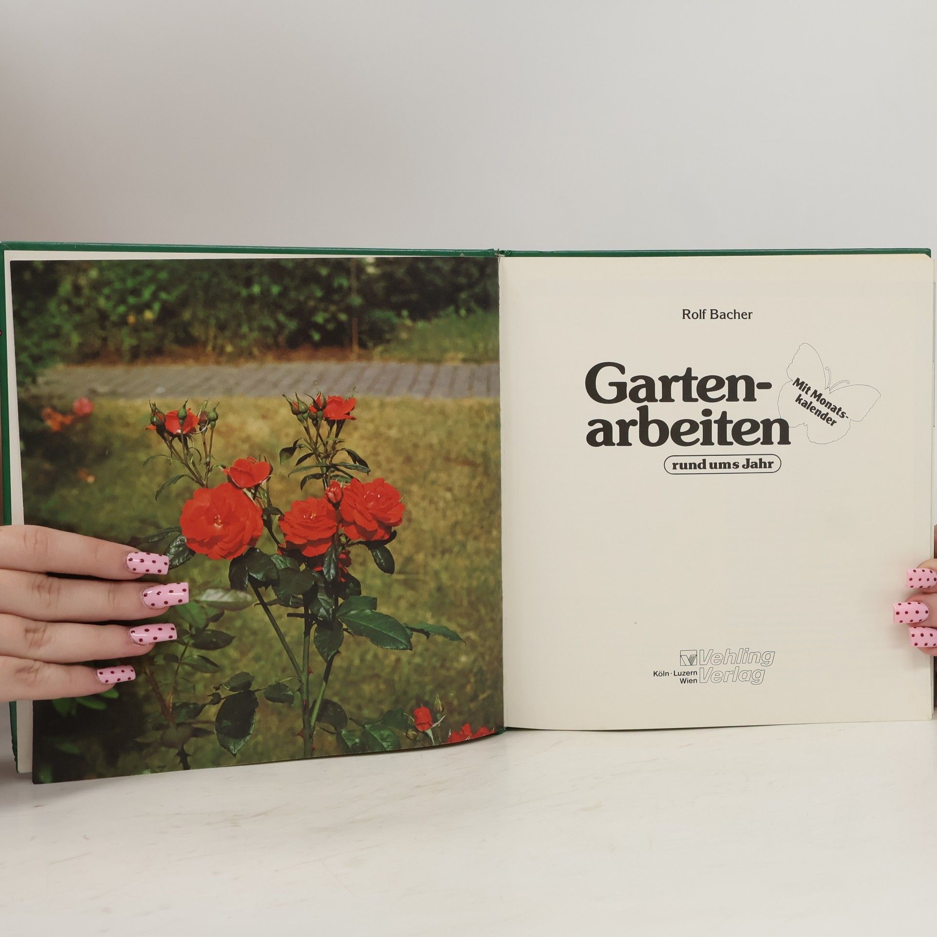 Rolf Bacher Gartenarbeiten