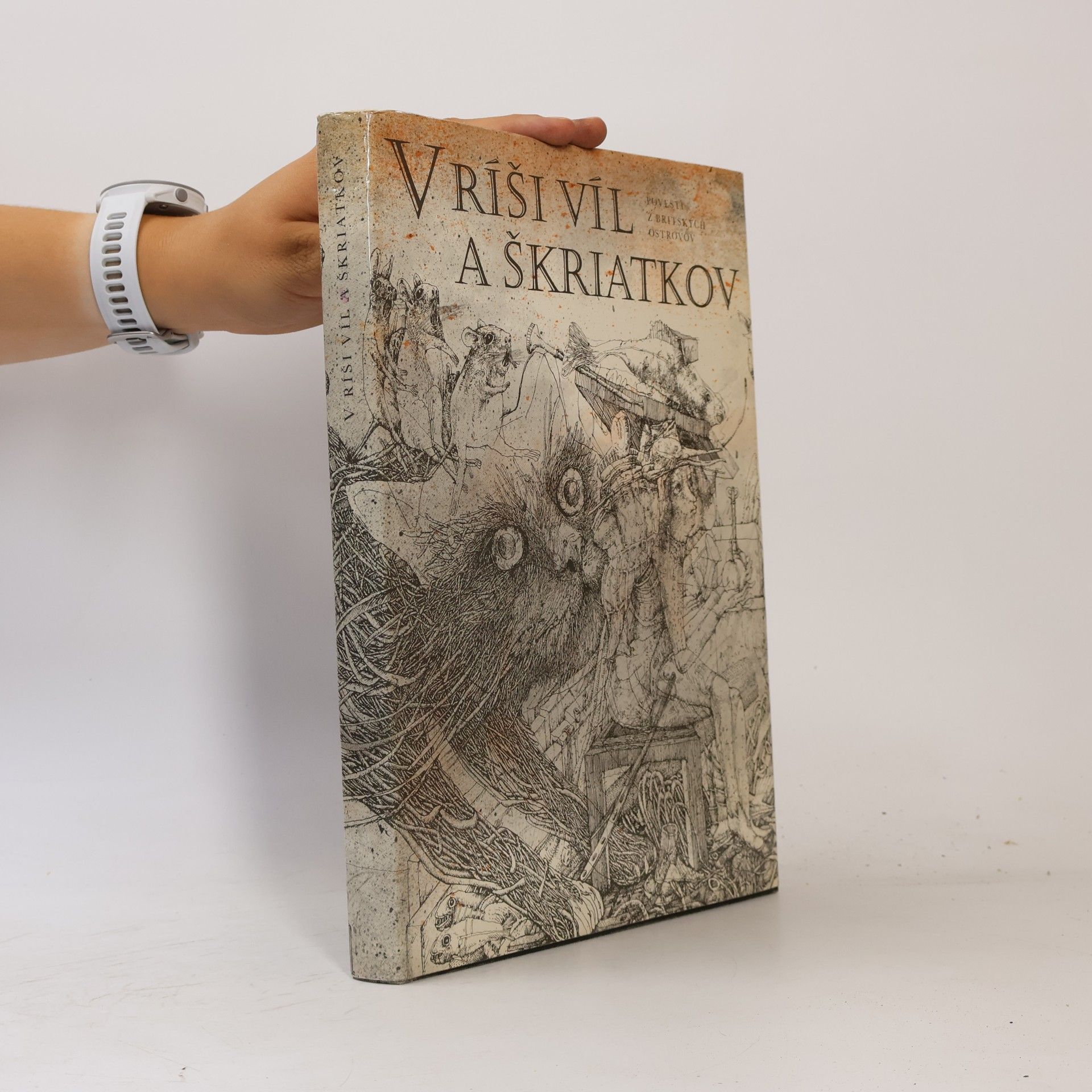 Marianna Oravcová V ríši víl a škriatkov