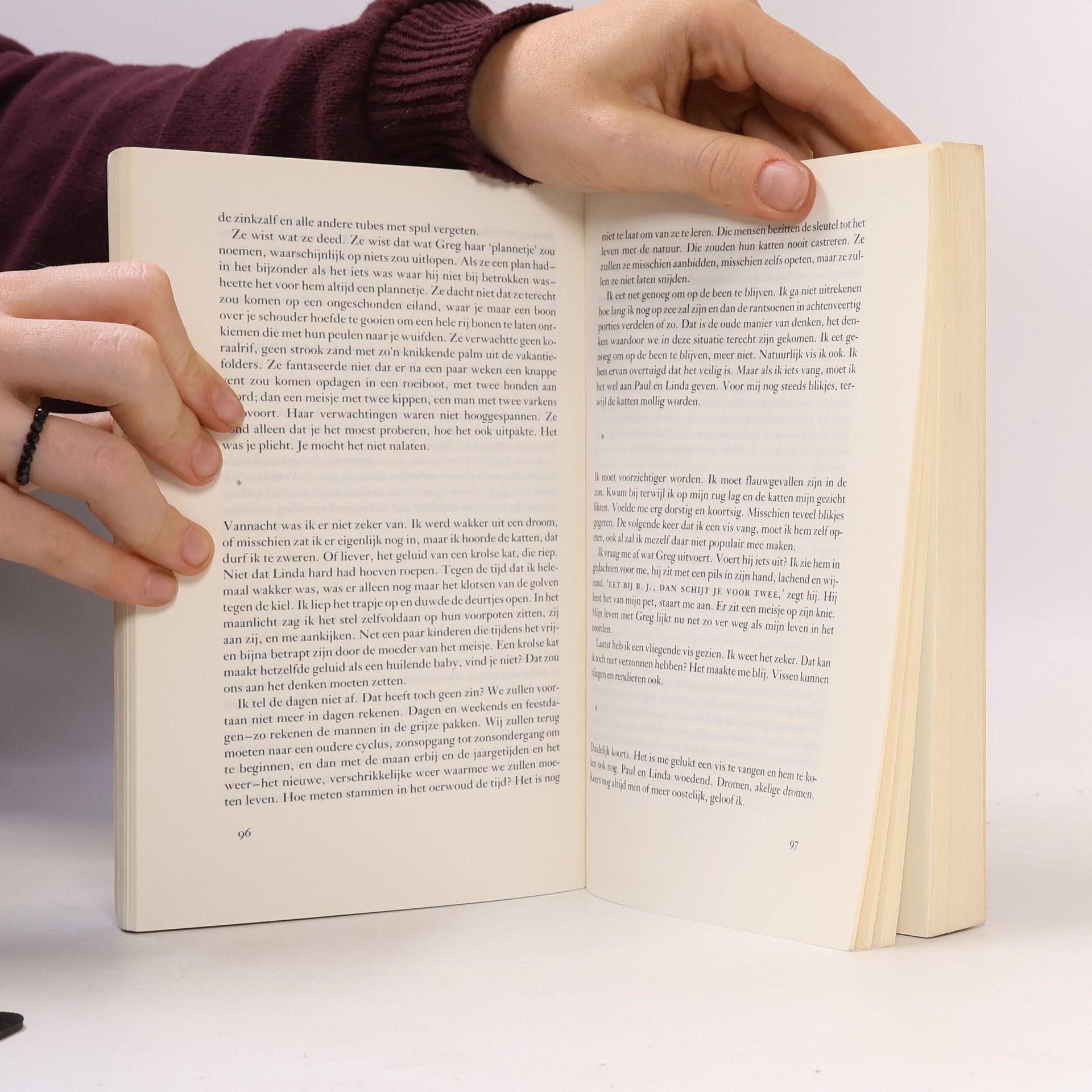 Julian Barnes Een geschiedenis van de wereld in 10½ hoofdstuk
