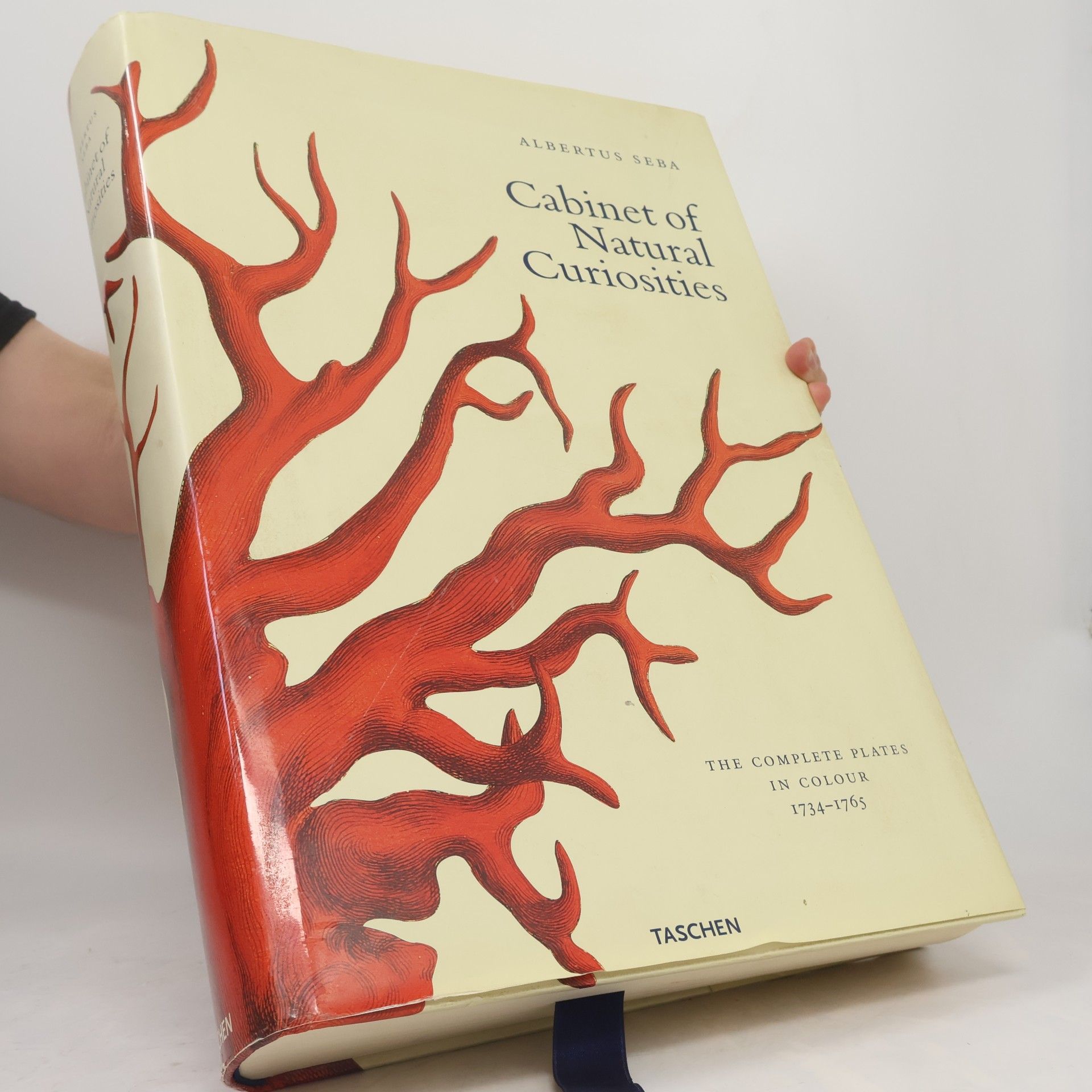 Albertus Seba's Cabinet of Natural Curiosities (Extra Large)
