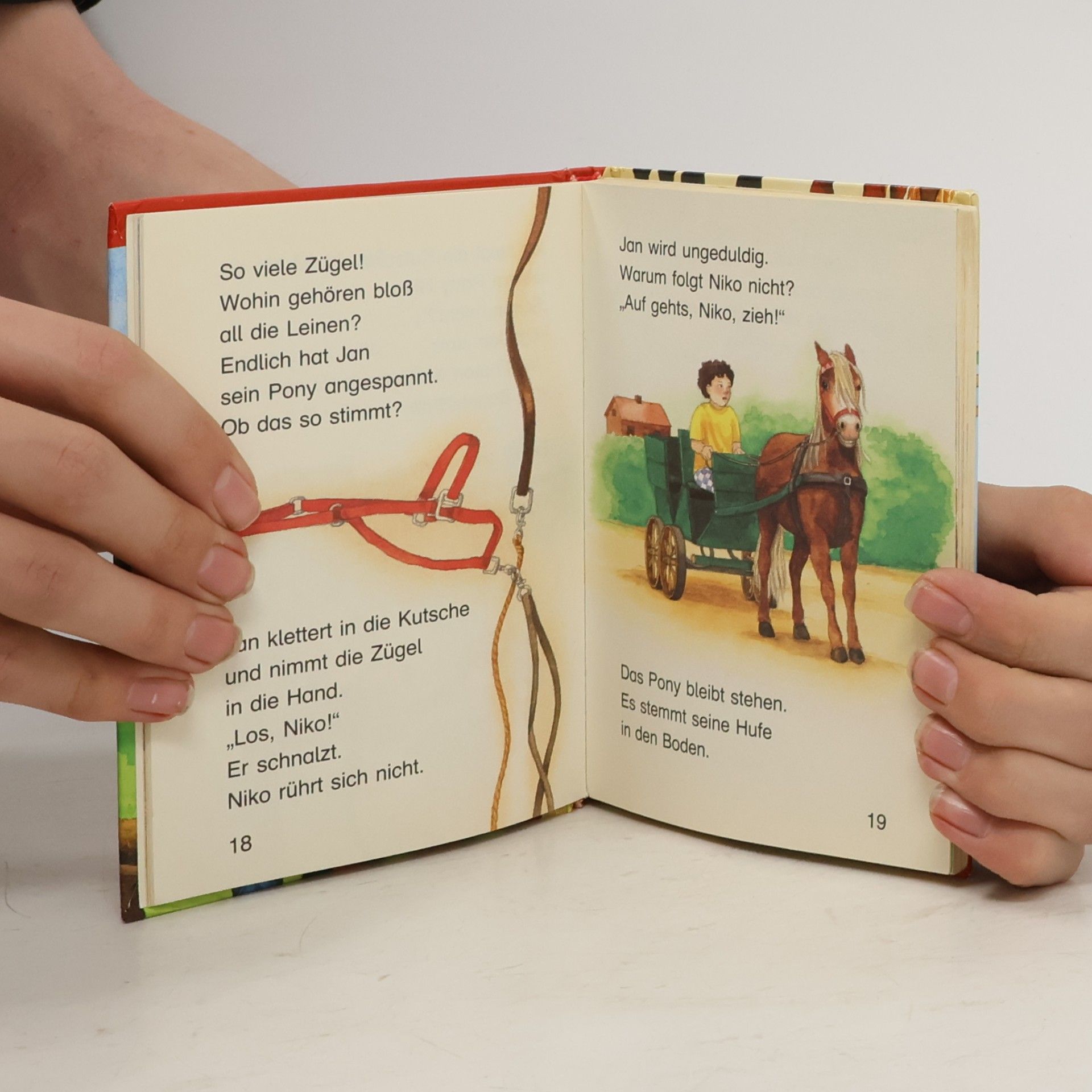 Lydia Hauenschild Kleine Pferdegeschichten