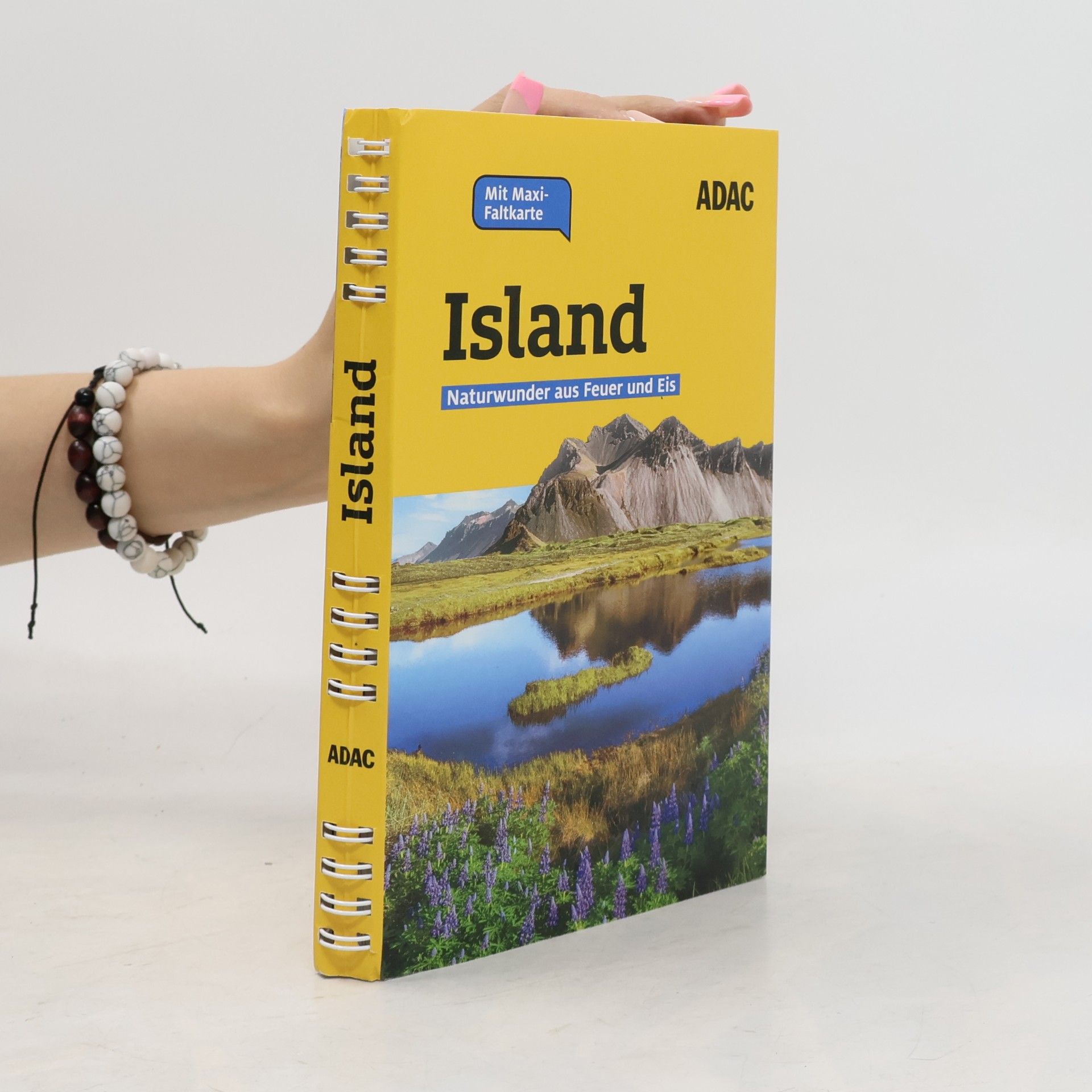 Bernd Bierbaum ADAC Reiseführer plus Island