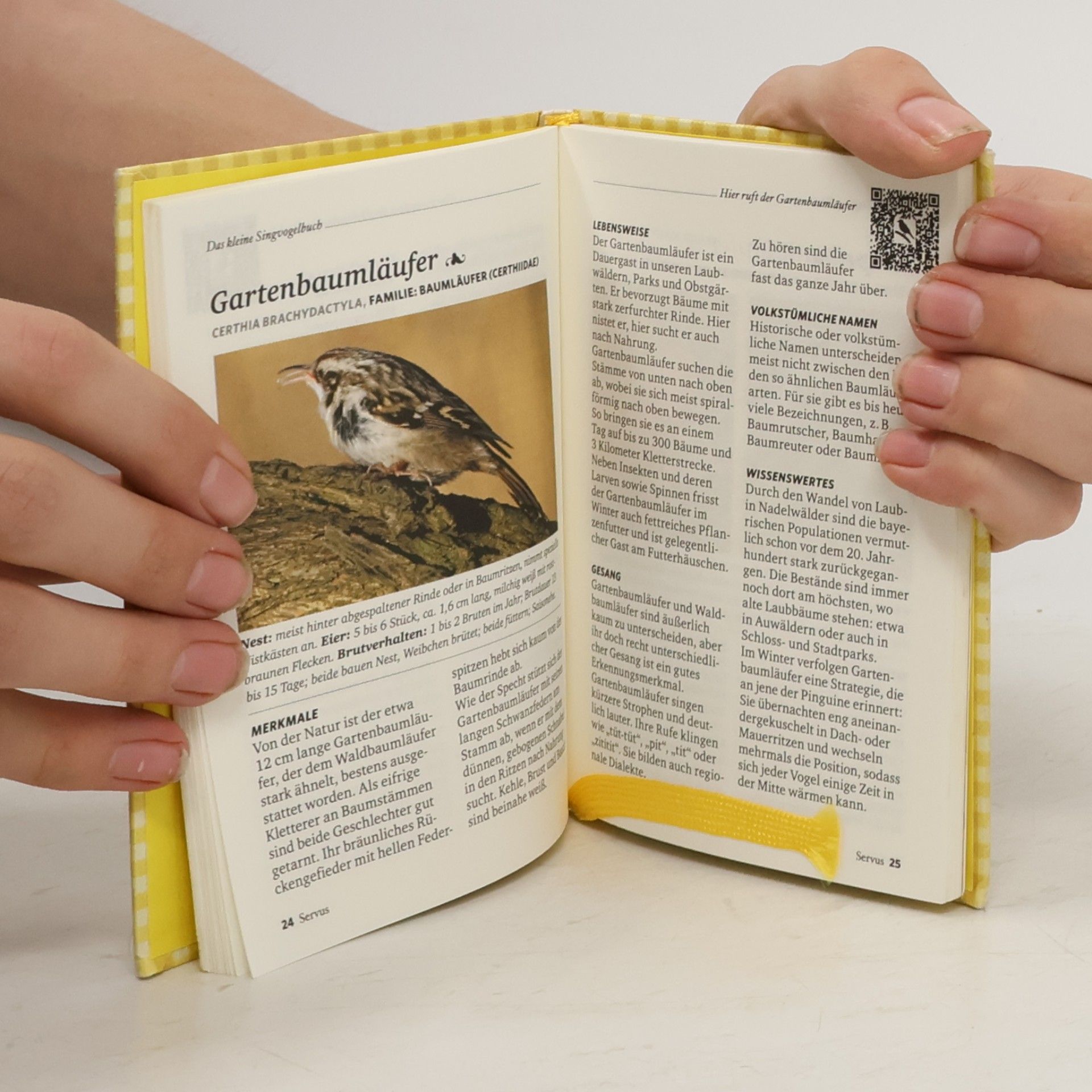 Autorenkollektiv Das kleine Singvogelbuch