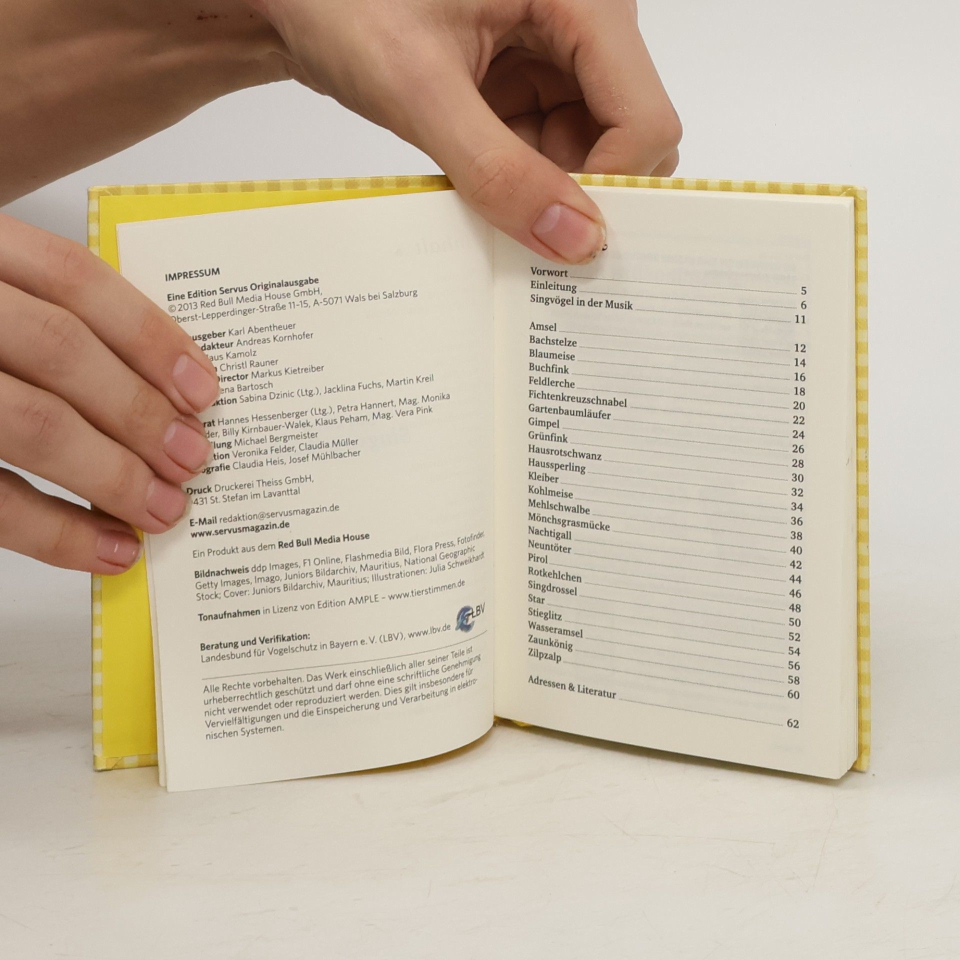 Autorenkollektiv Das kleine Singvogelbuch