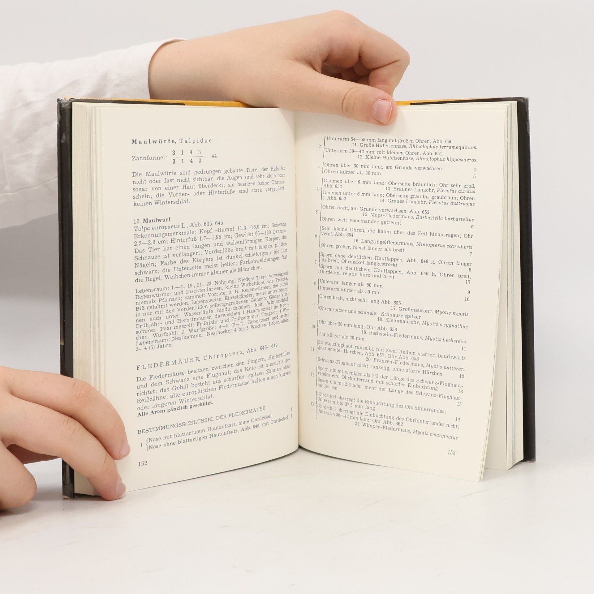 Hans Bach Kärntner Naturschutz-Handbuch II