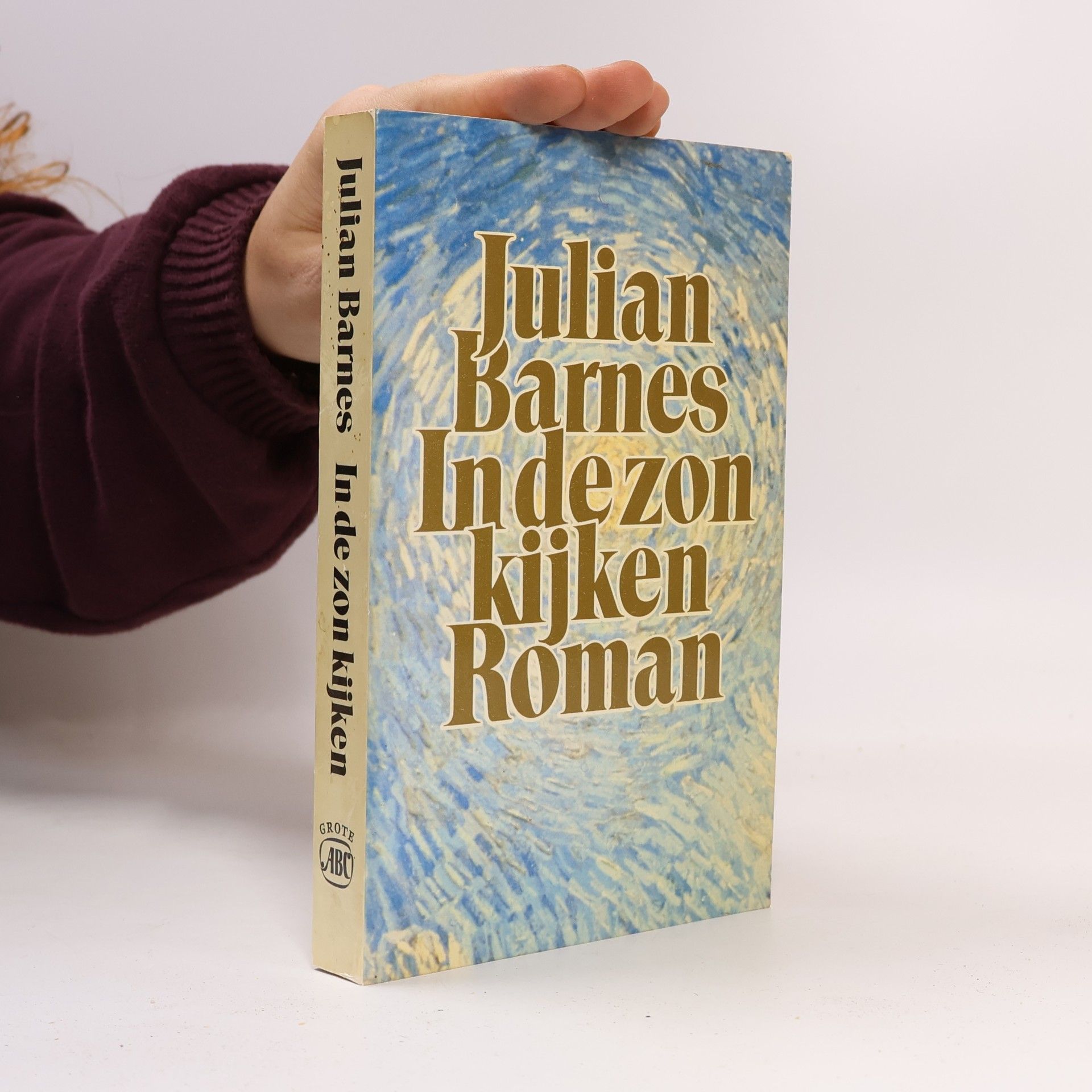Julian Barnes In de zon kijken