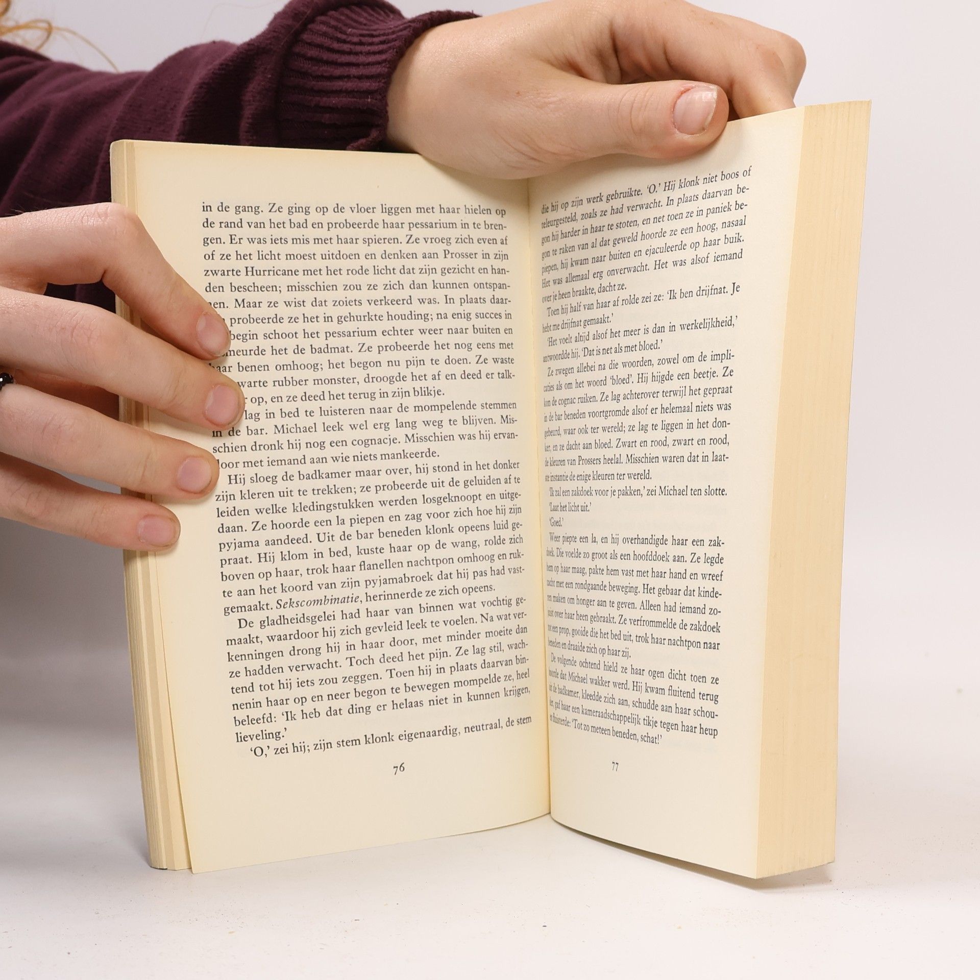 Julian Barnes In de zon kijken