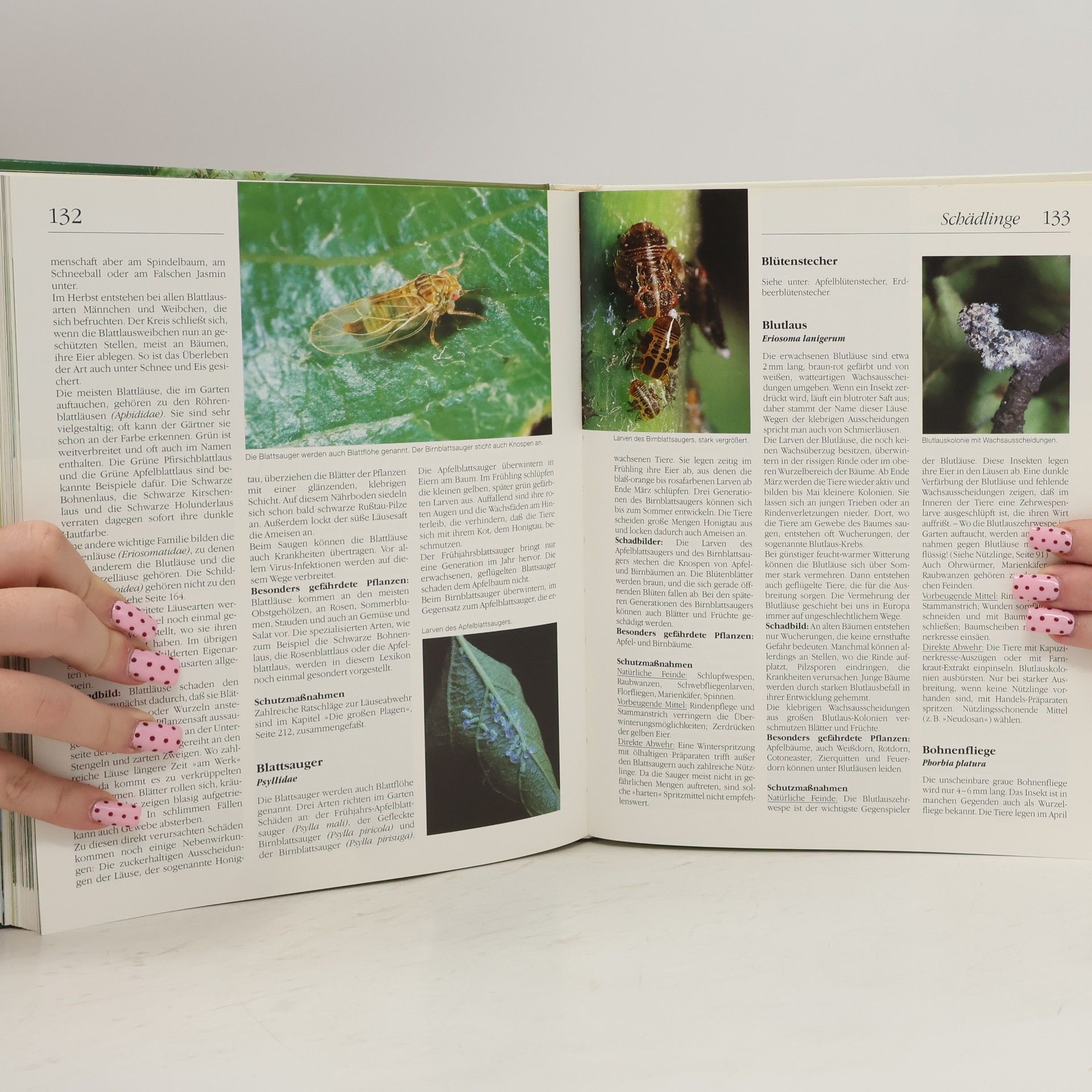 Marie-Luise Kreuter Pflanzenschutz im Bio-Garten